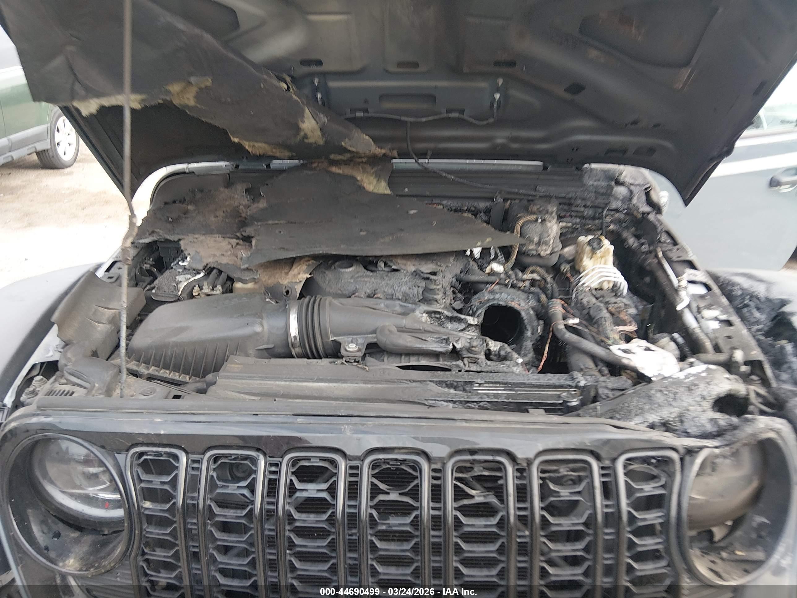 JEEP WRANGLER image 10