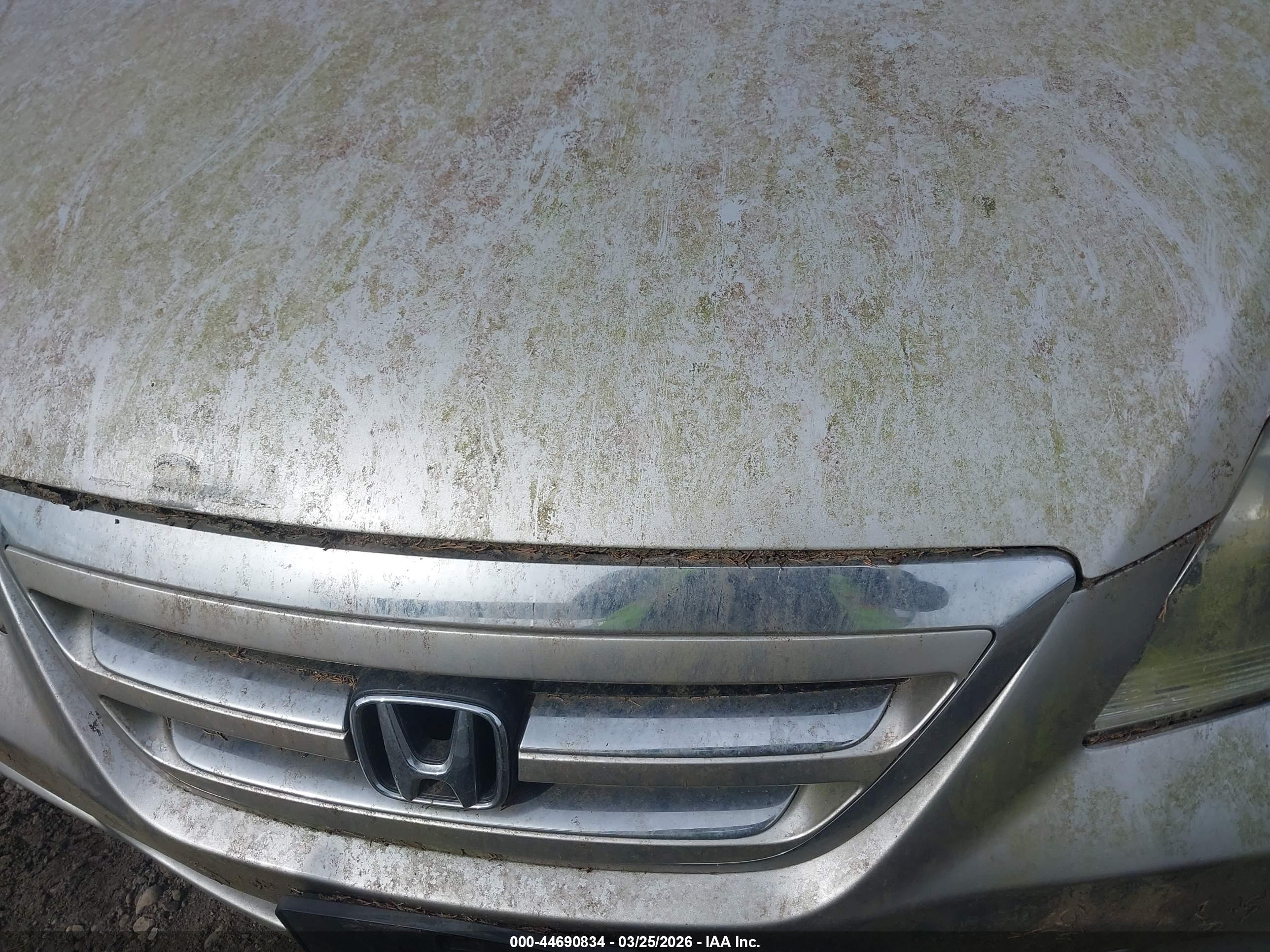 HONDA ODYSSEY image 10