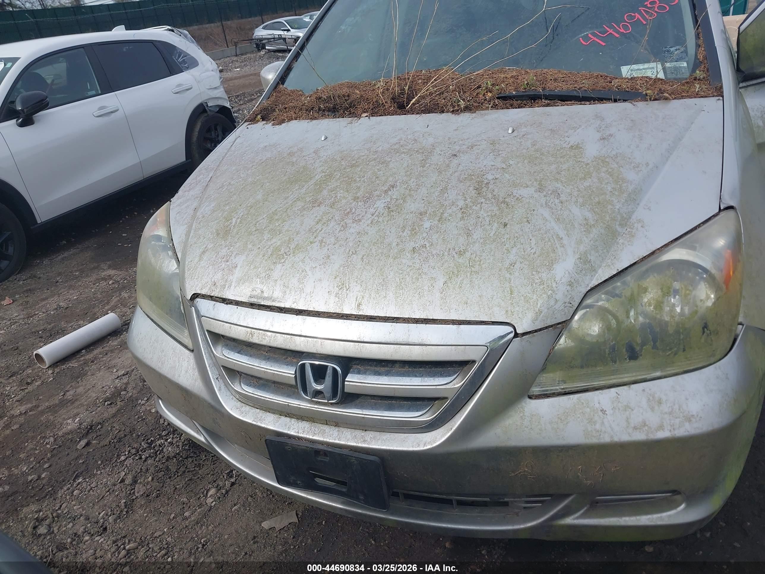 HONDA ODYSSEY image 6