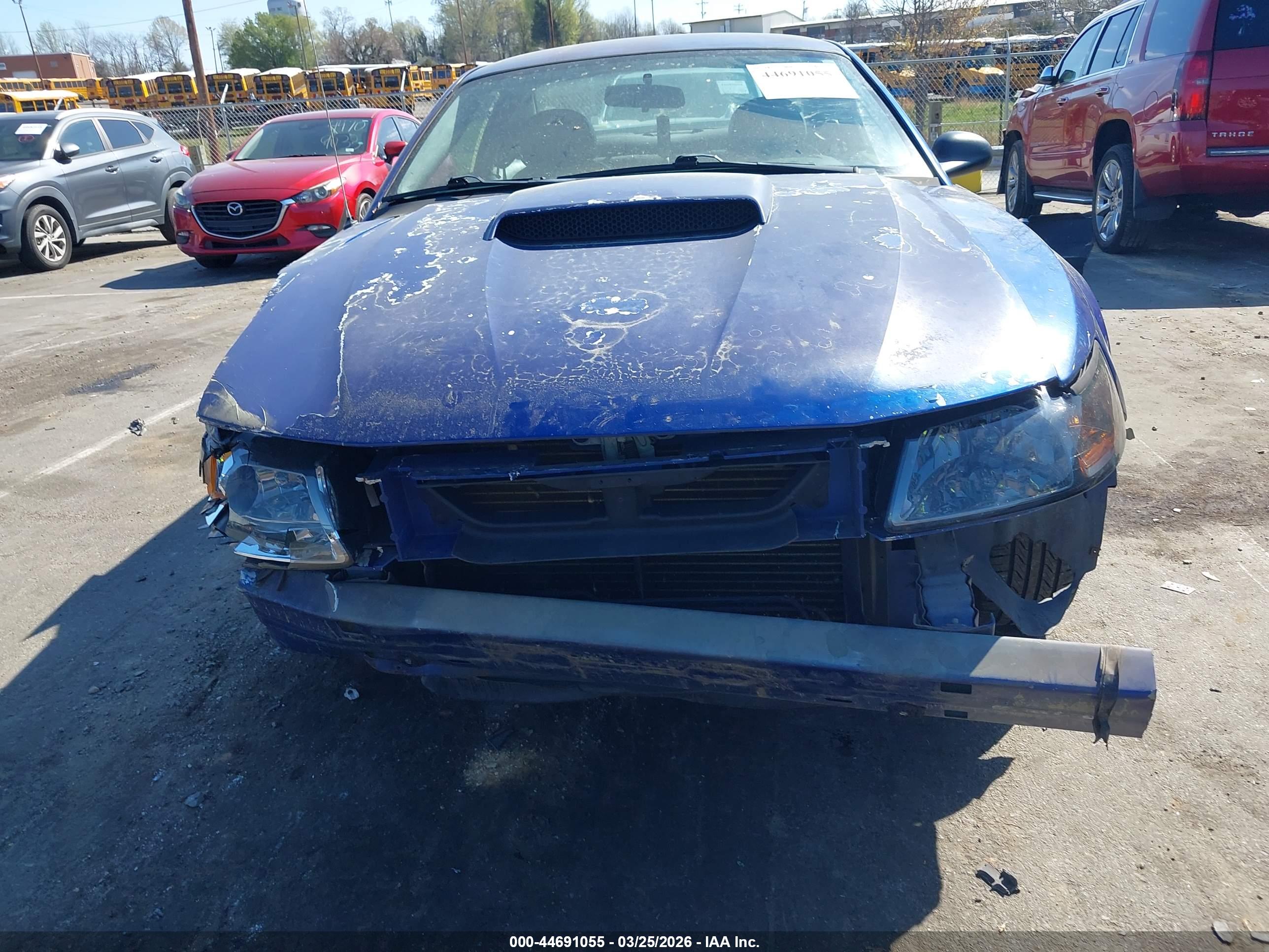 FORD MUSTANG image 6