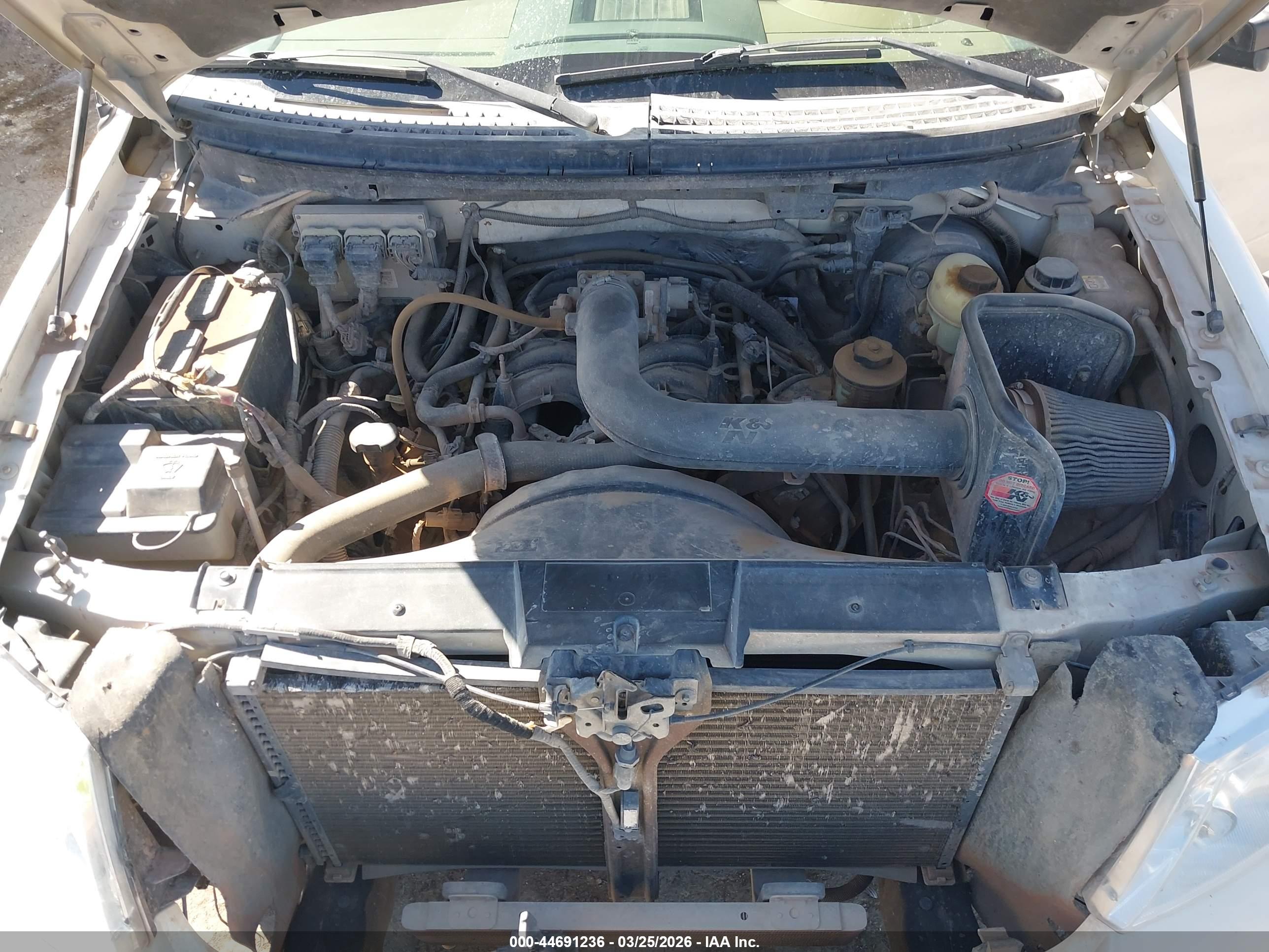 FORD F-150 image 10