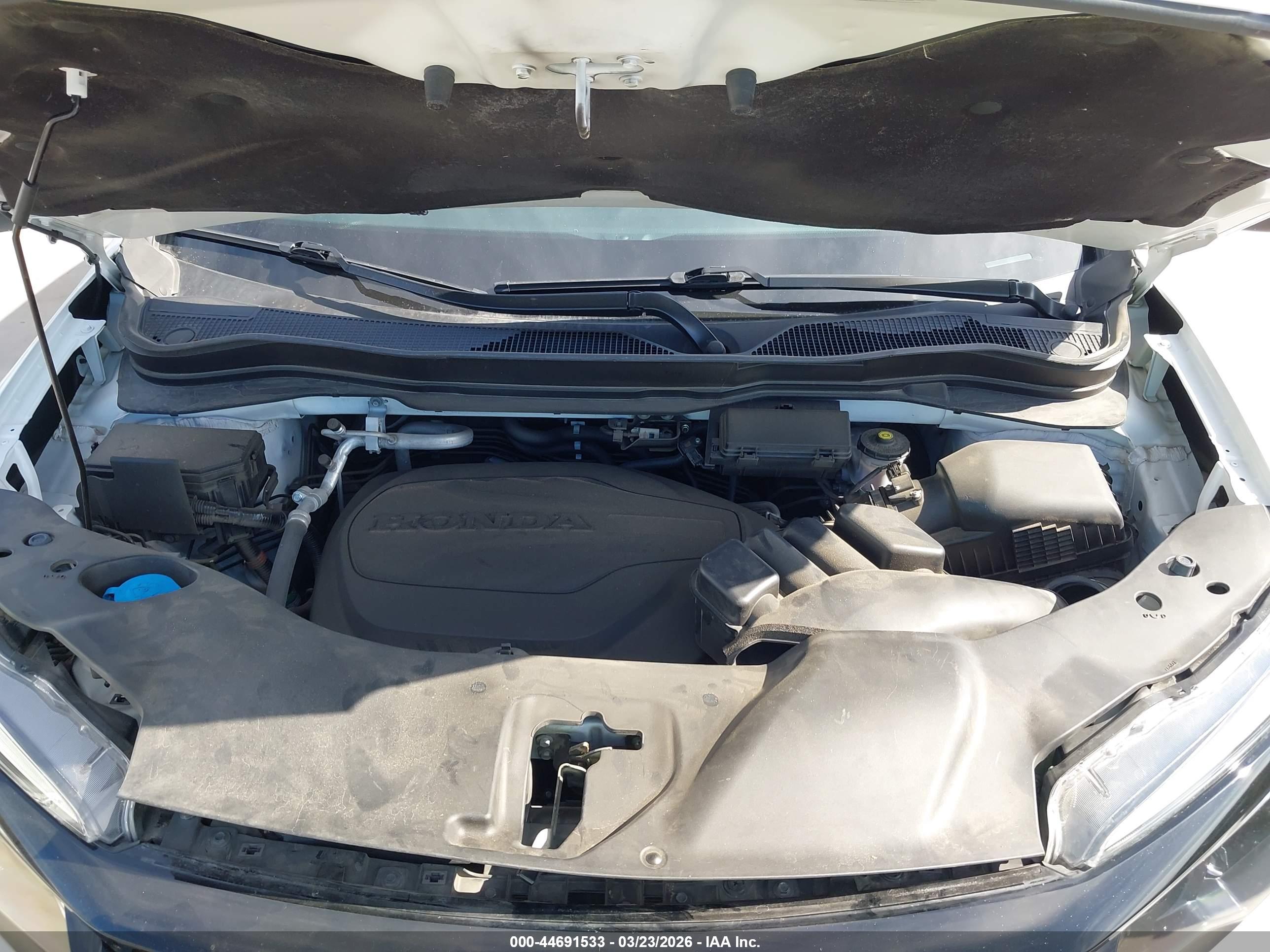 HONDA PASSPORT image 10
