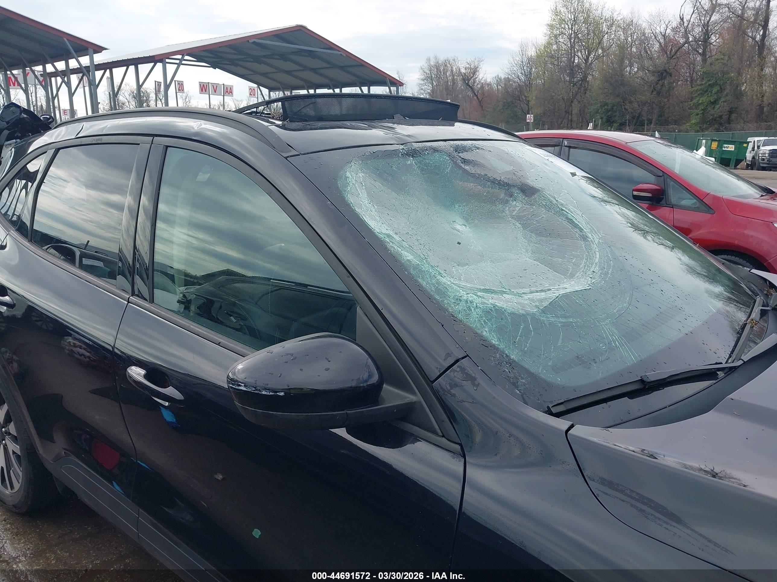 FORD ESCAPE image 6