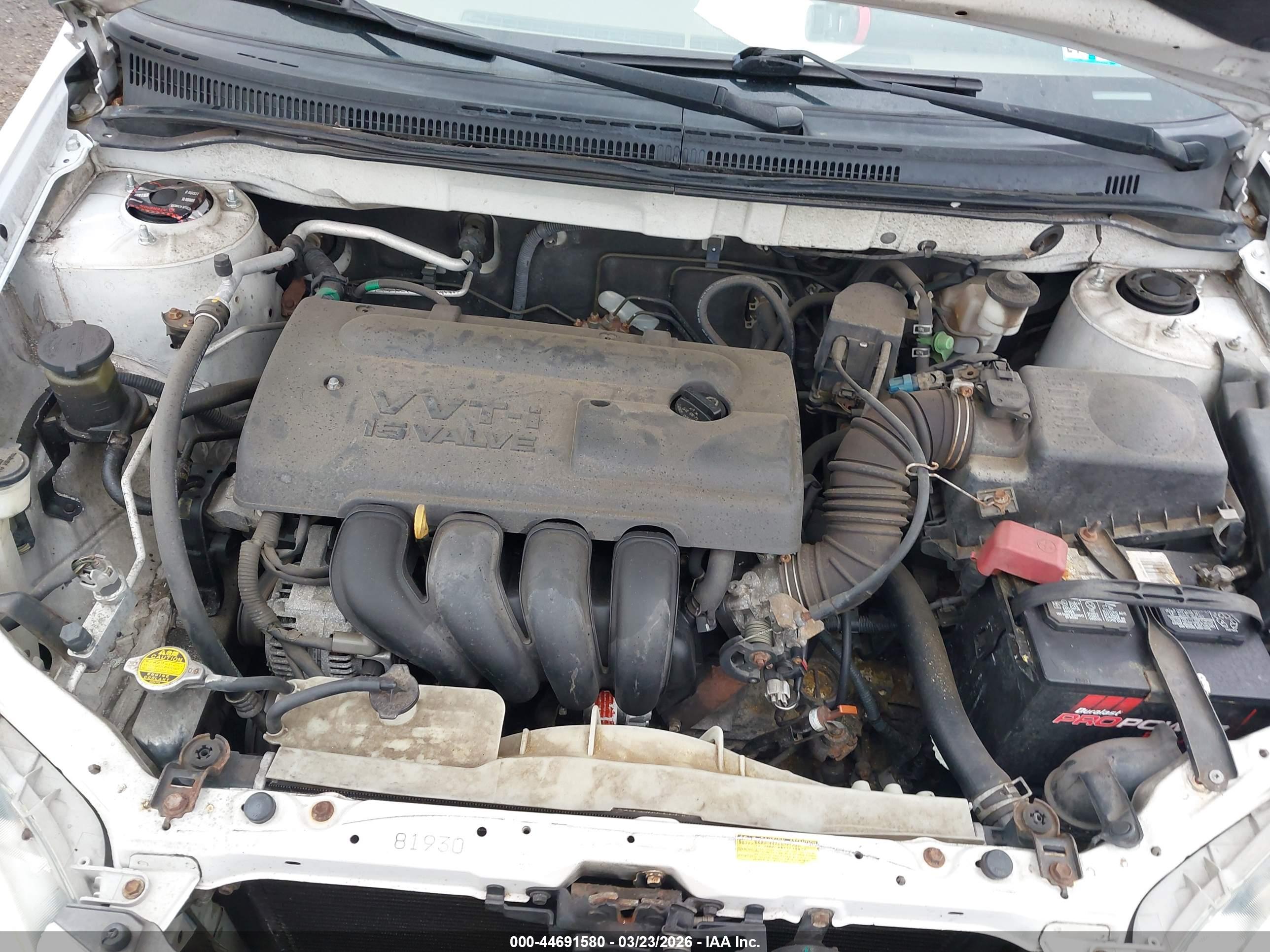 TOYOTA COROLLA image 10