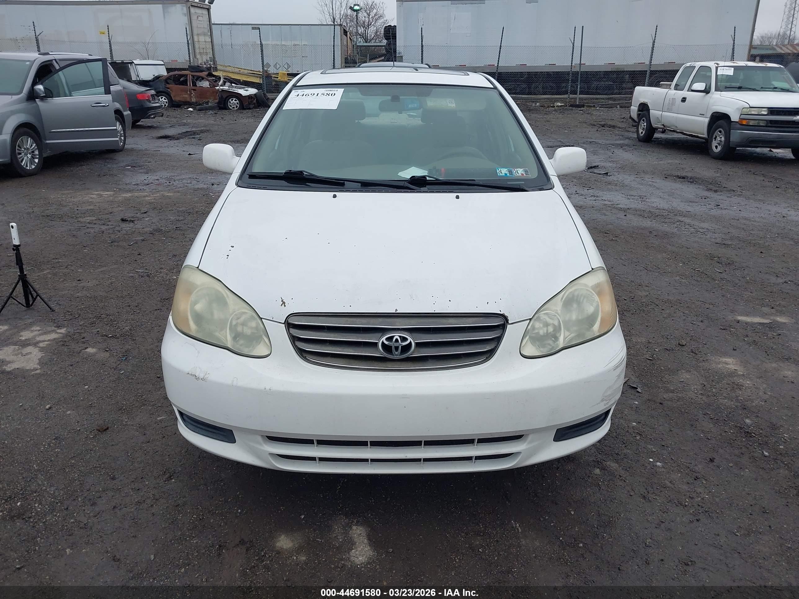 TOYOTA COROLLA image 6