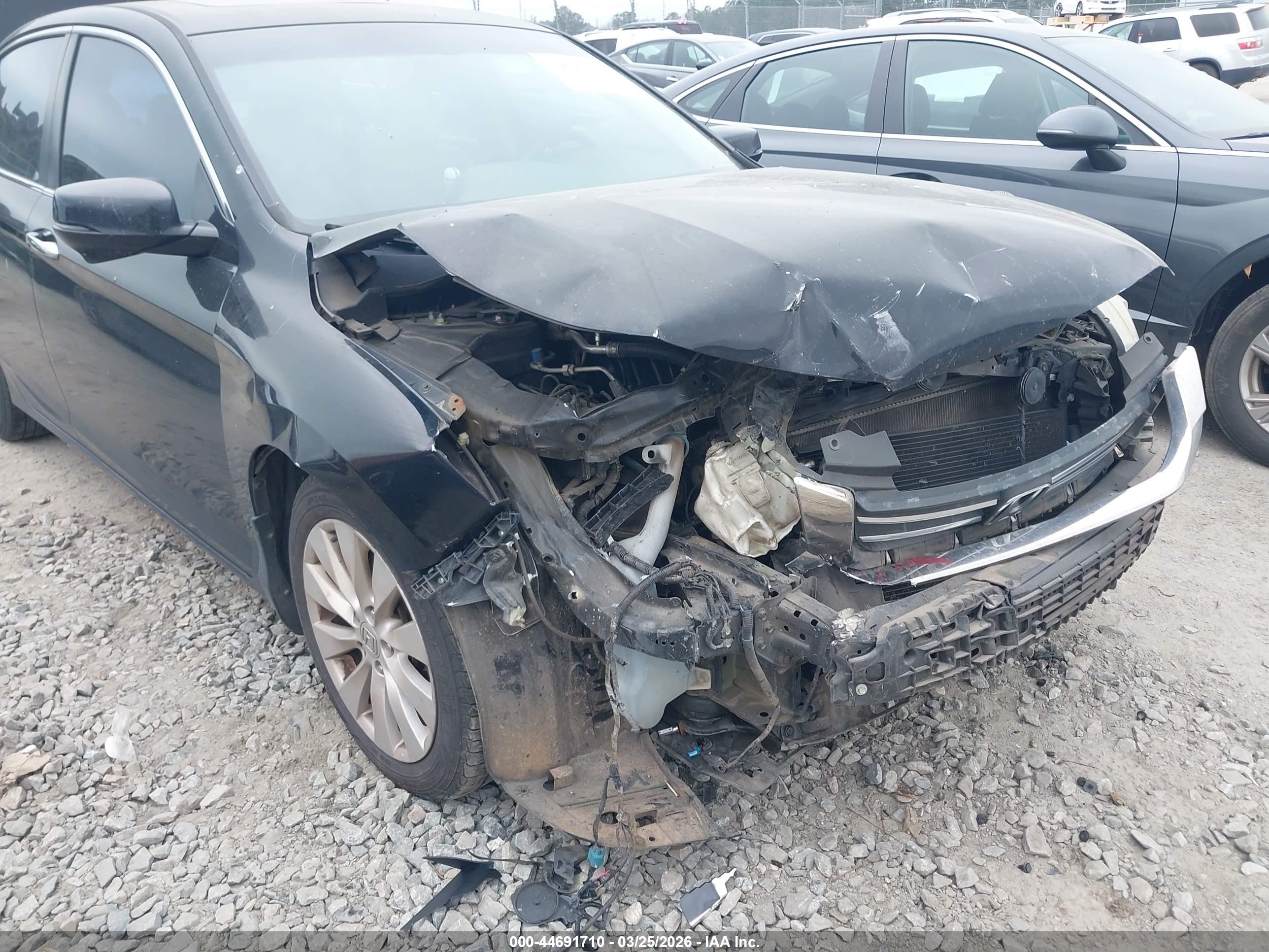 HONDA ACCORD image 6