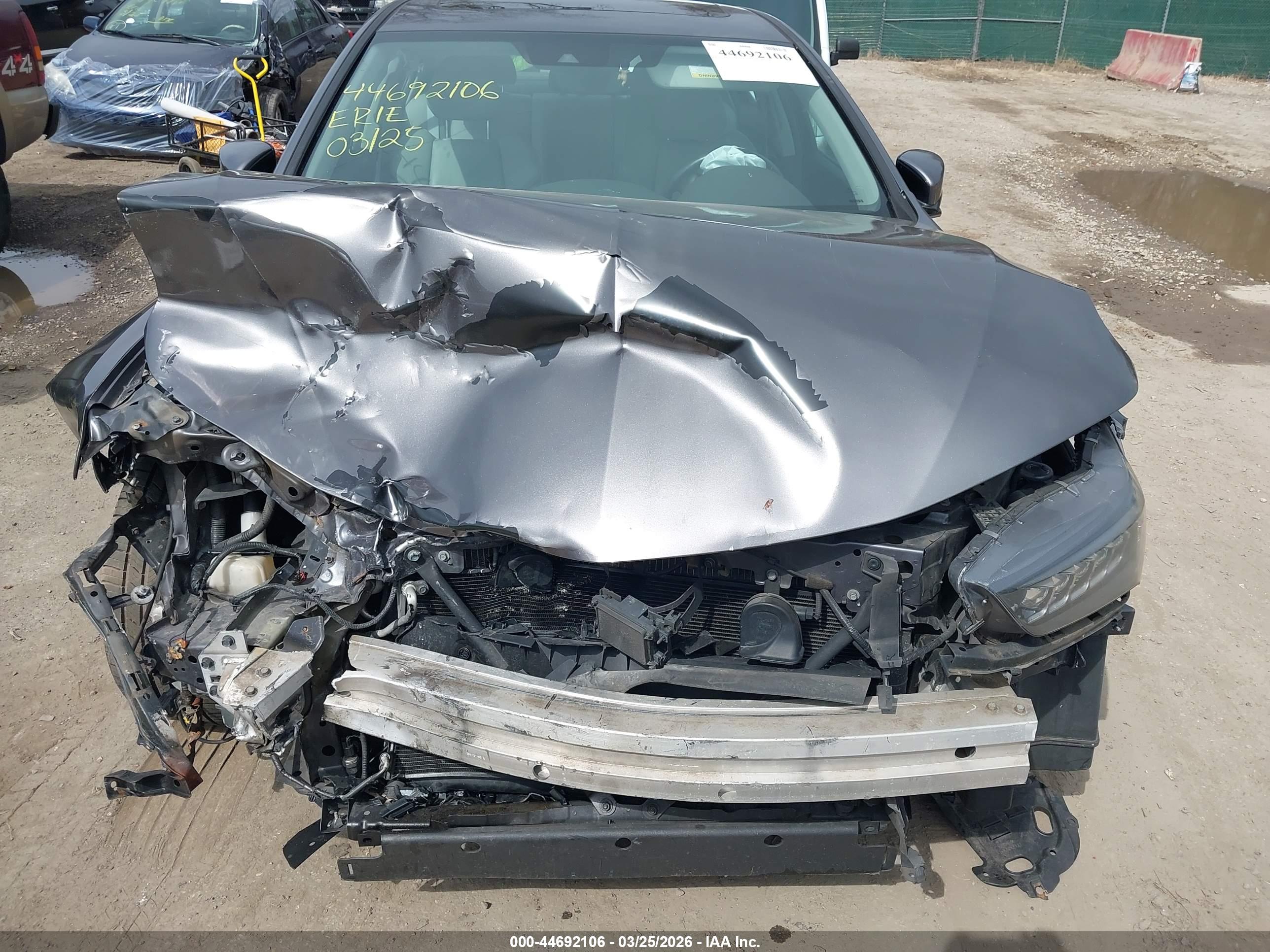 ACURA TLX image 6