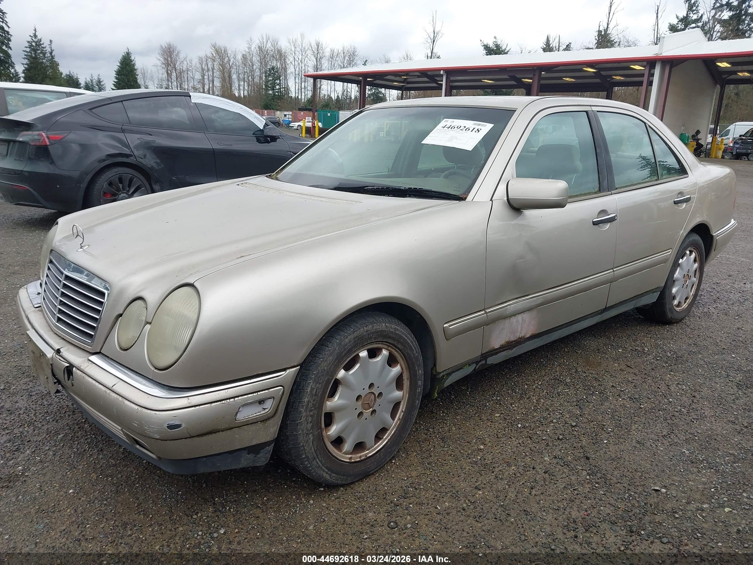 MERCEDES-BENZ E image 2