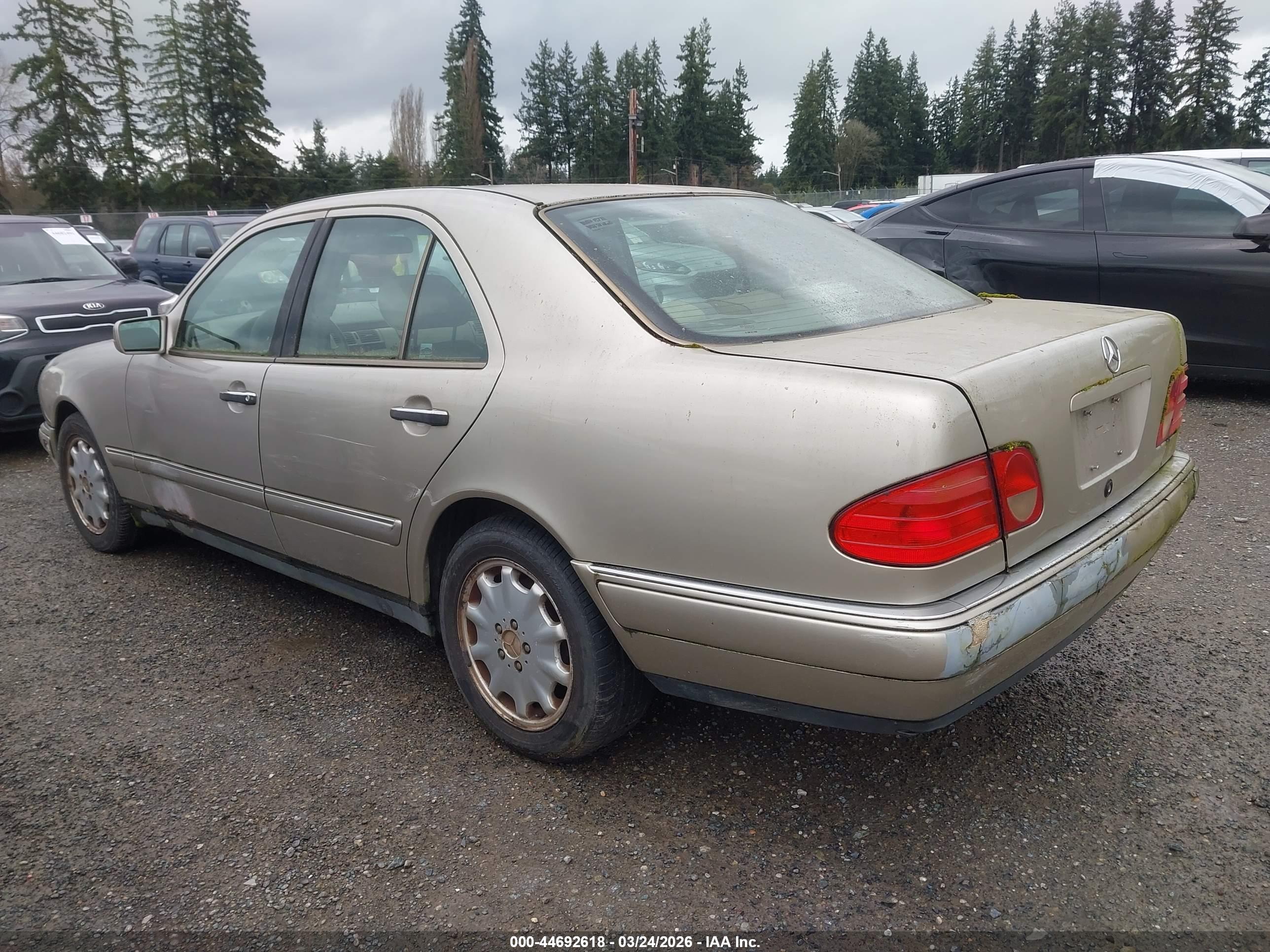 MERCEDES-BENZ E image 3