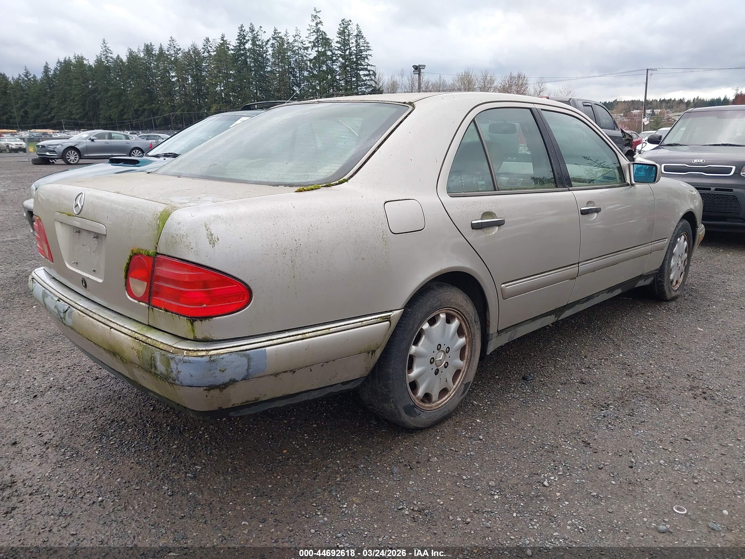 MERCEDES-BENZ E image 4