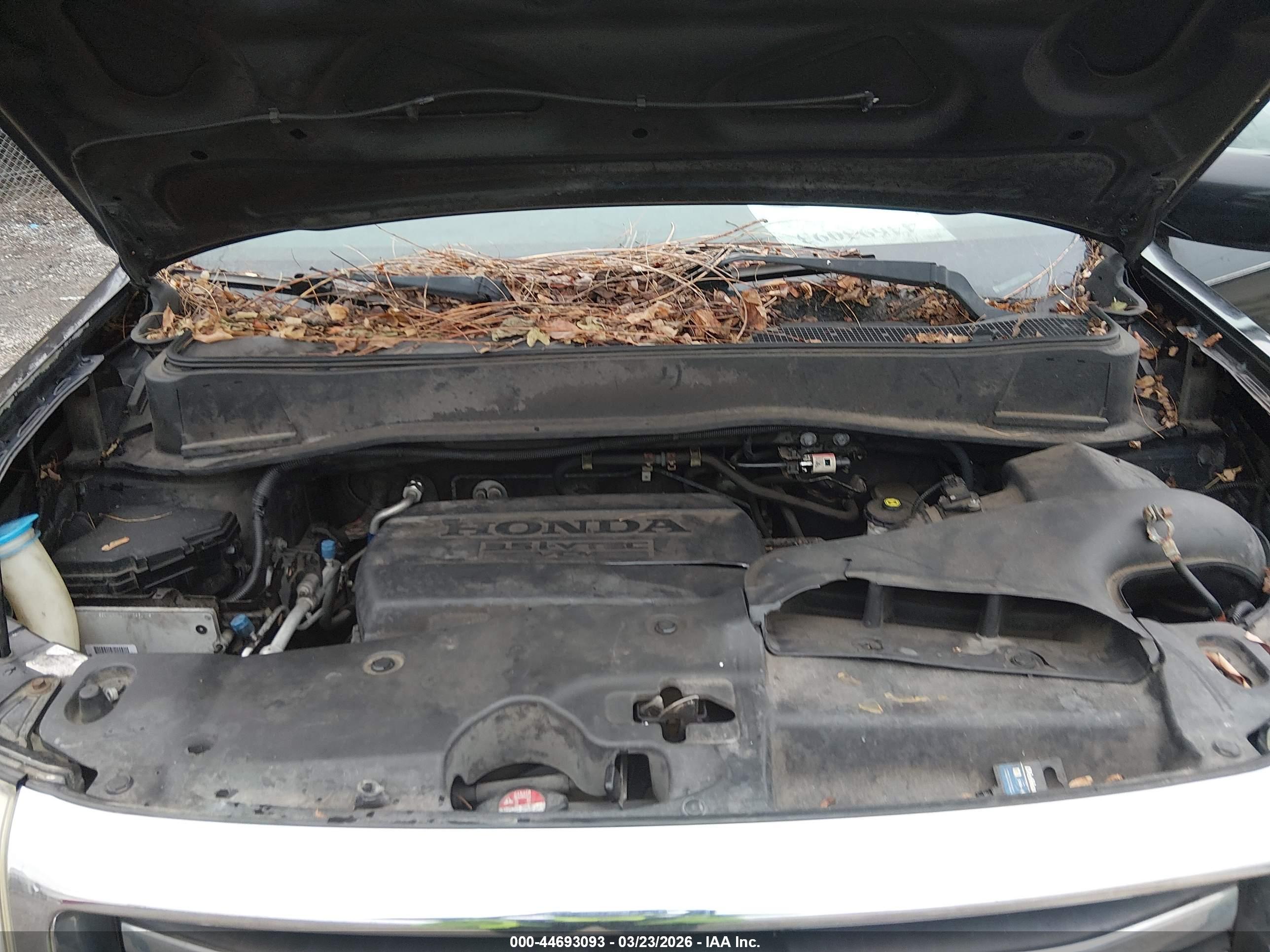 HONDA PILOT image 10
