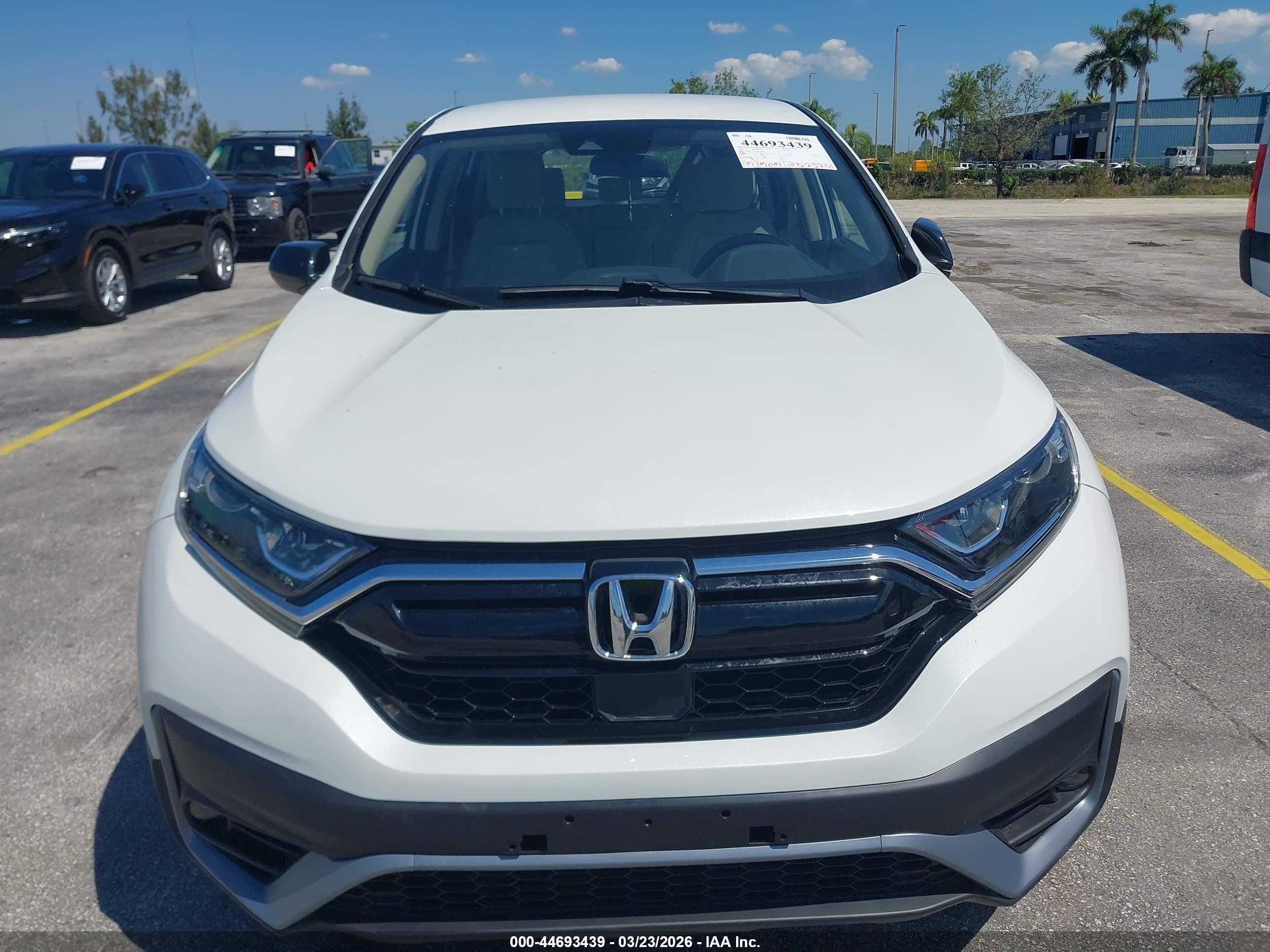 HONDA CR-V image 6