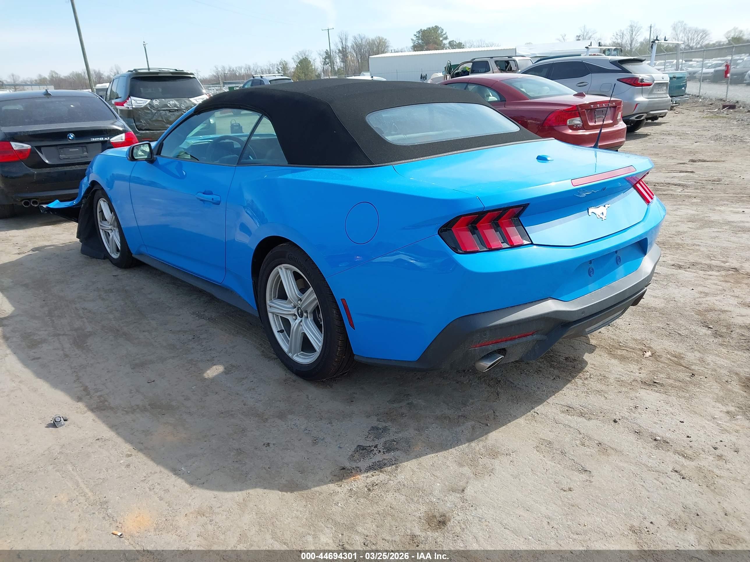 FORD MUSTANG image 3