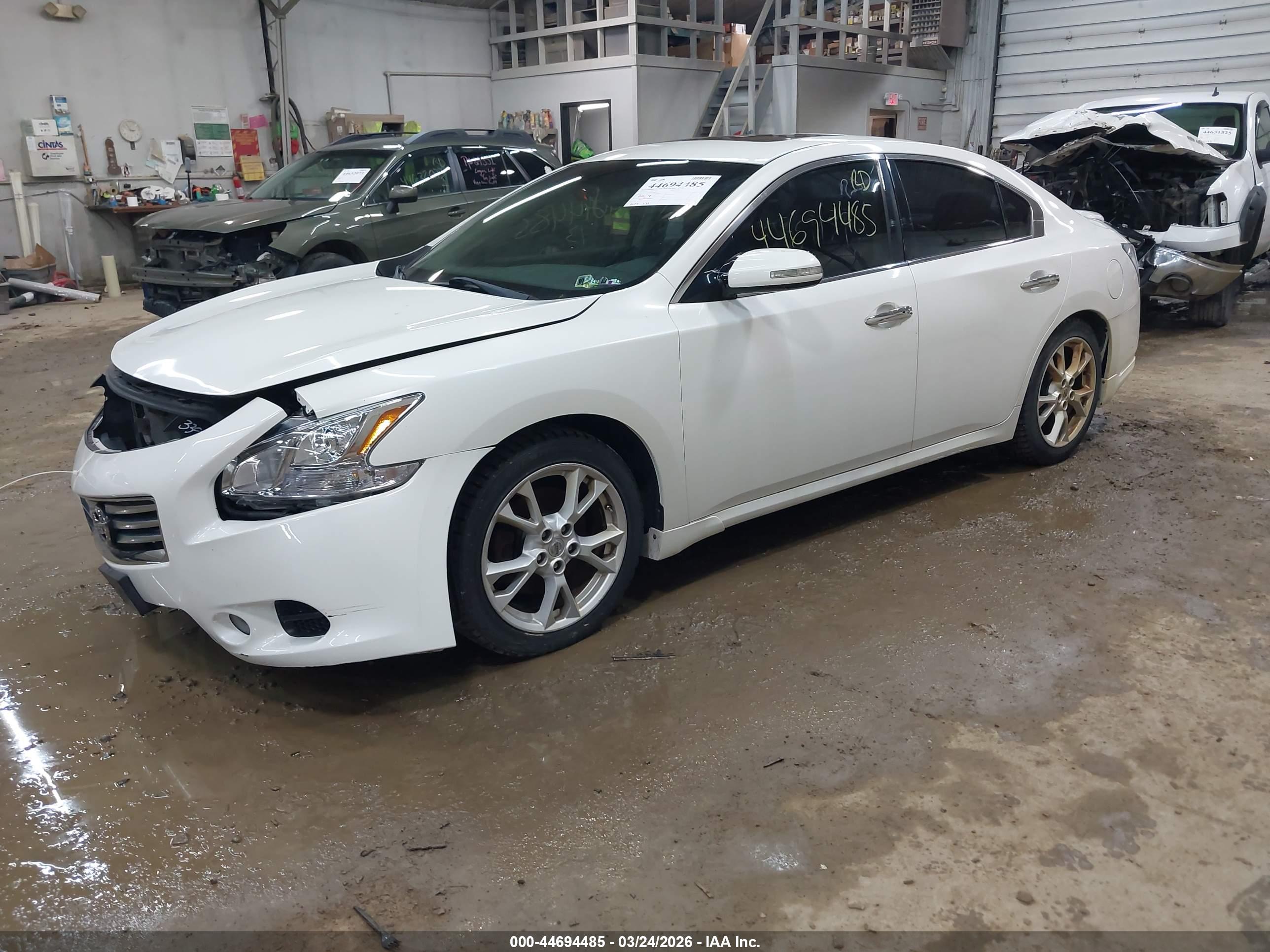 NISSAN MAXIMA image 2