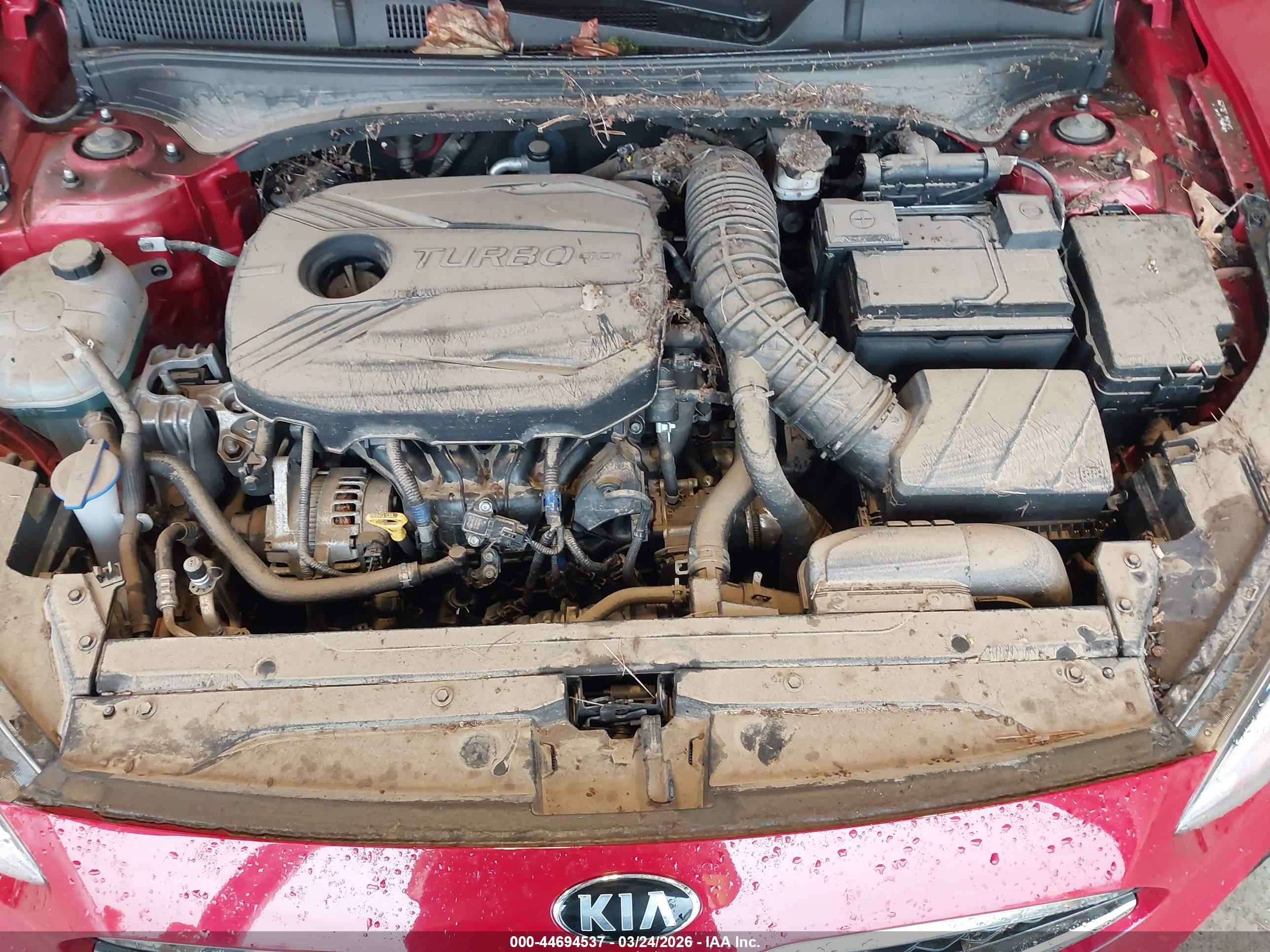KIA FORTE image 10