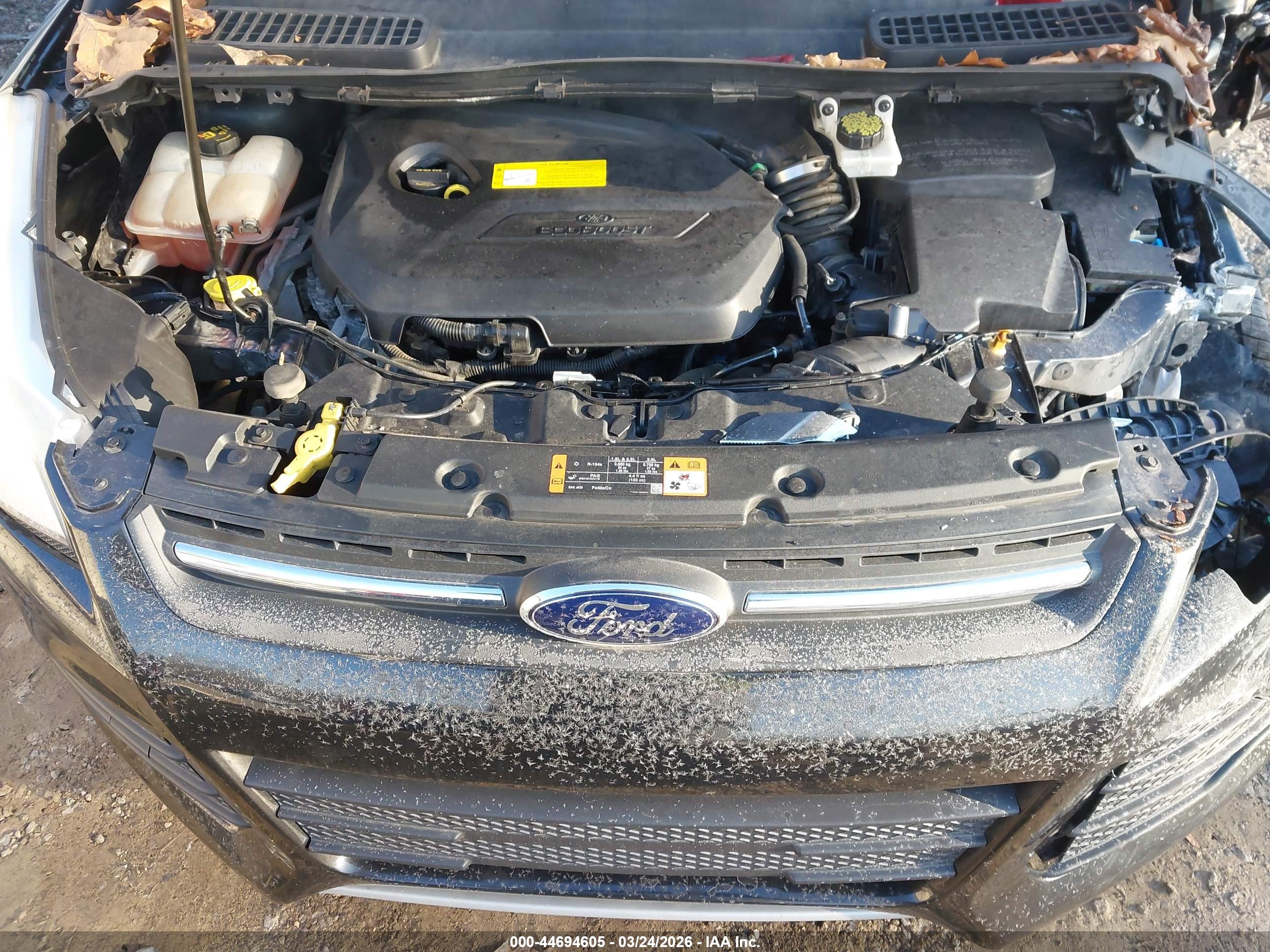 FORD ESCAPE image 10