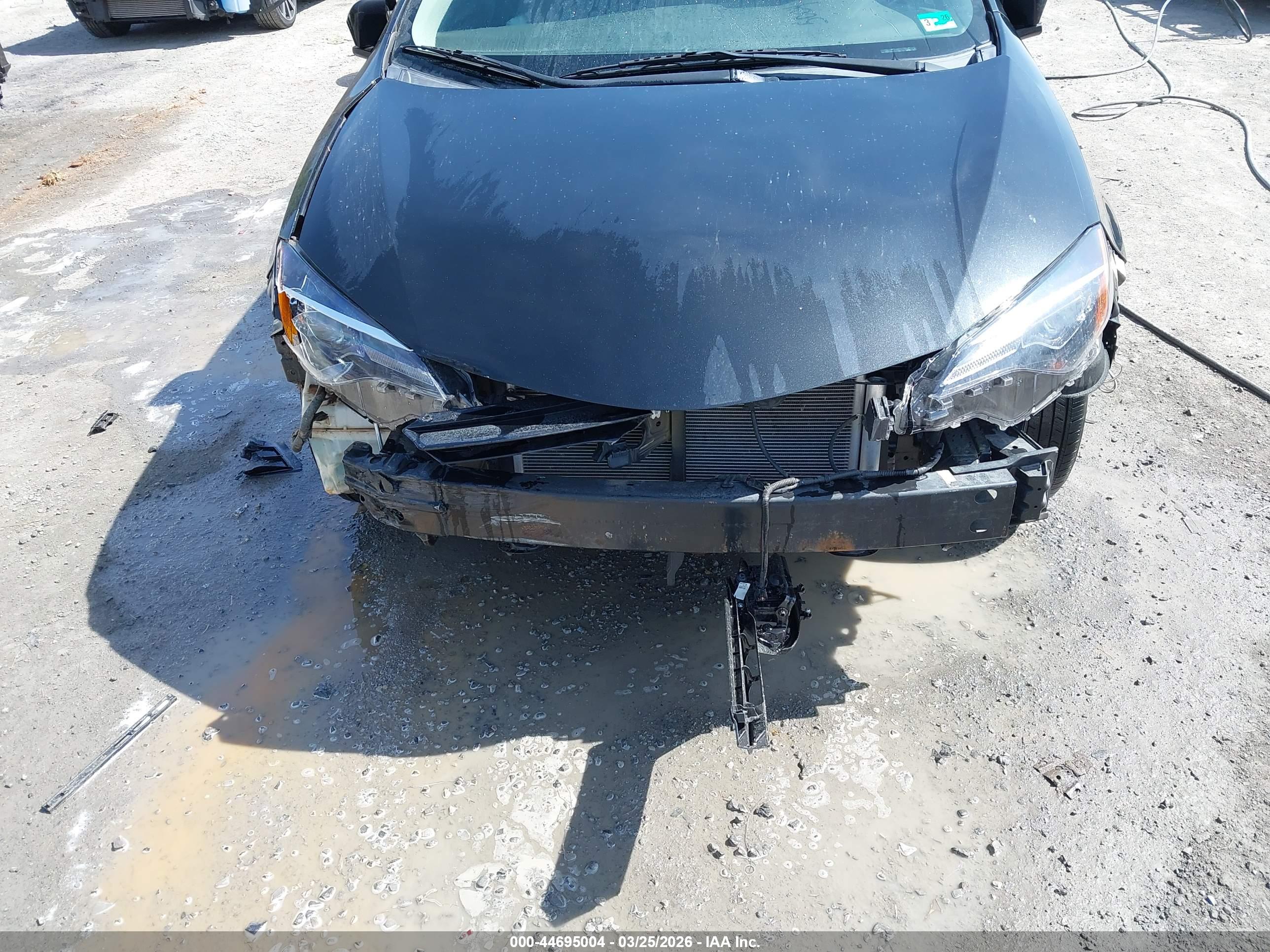 TOYOTA COROLLA image 6