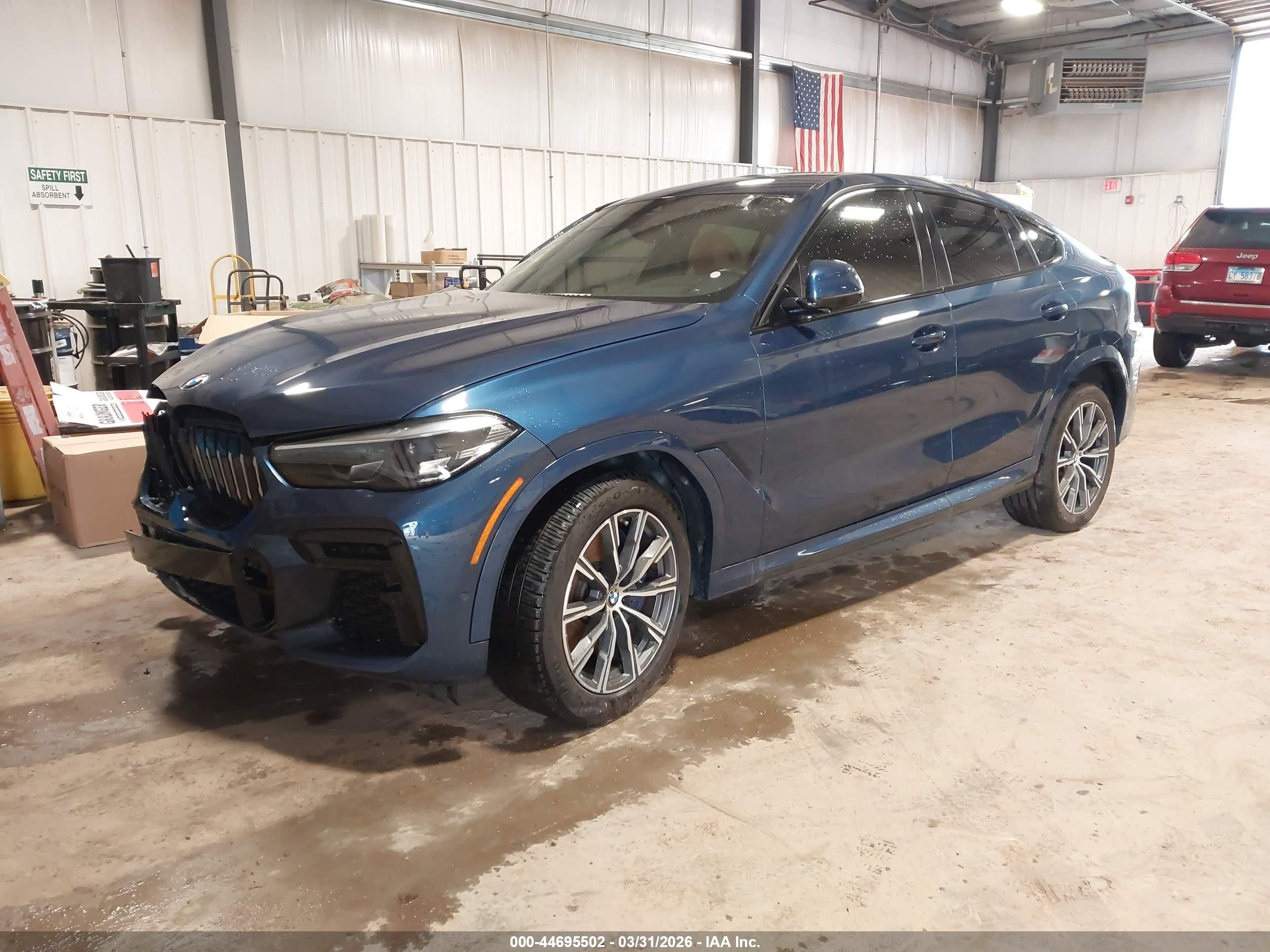 BMW X6 image 2