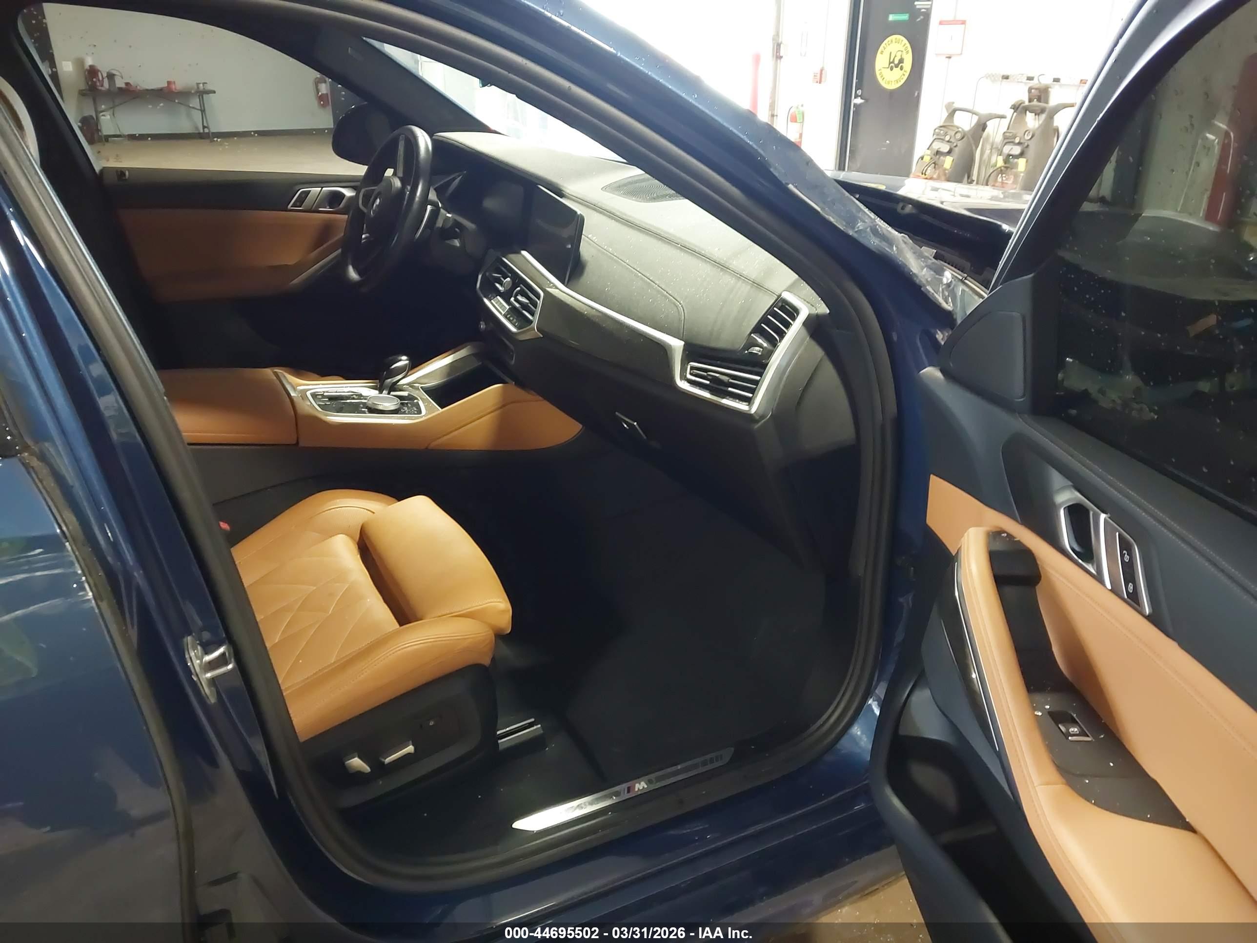 BMW X6 image 5