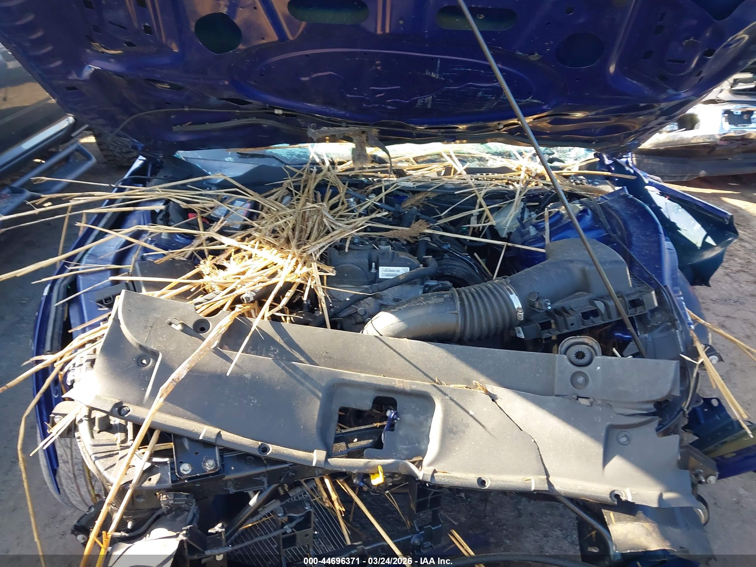 FORD MUSTANG image 10