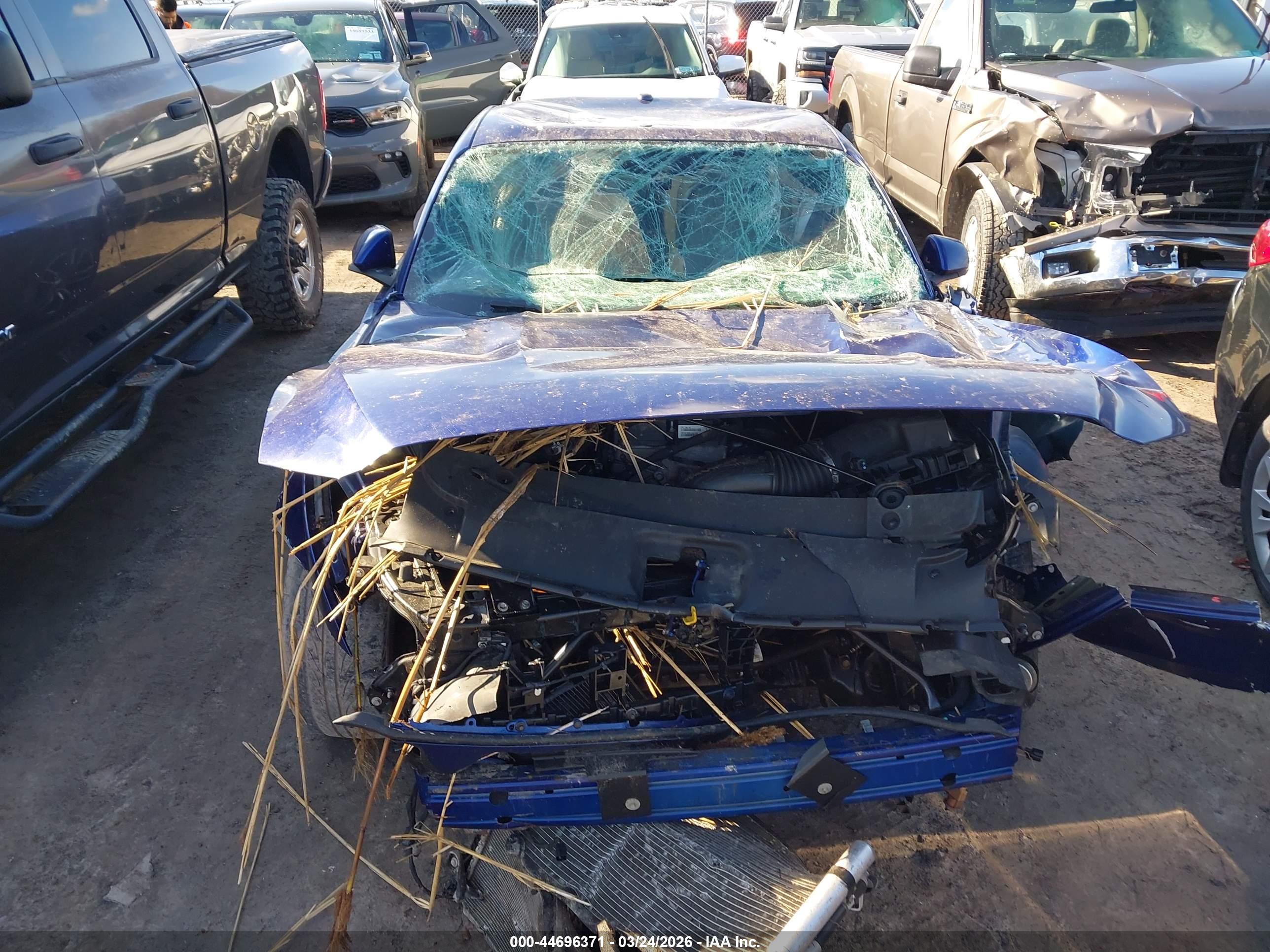 FORD MUSTANG image 6