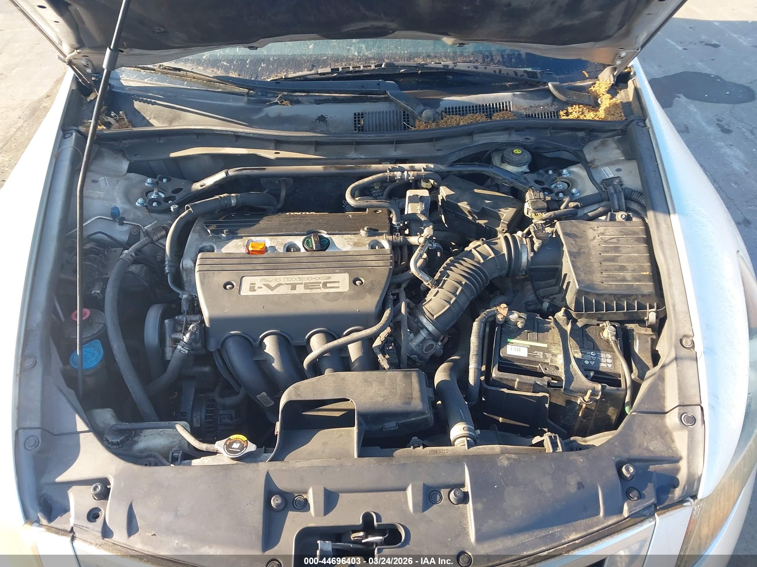 HONDA ACCORD image 10