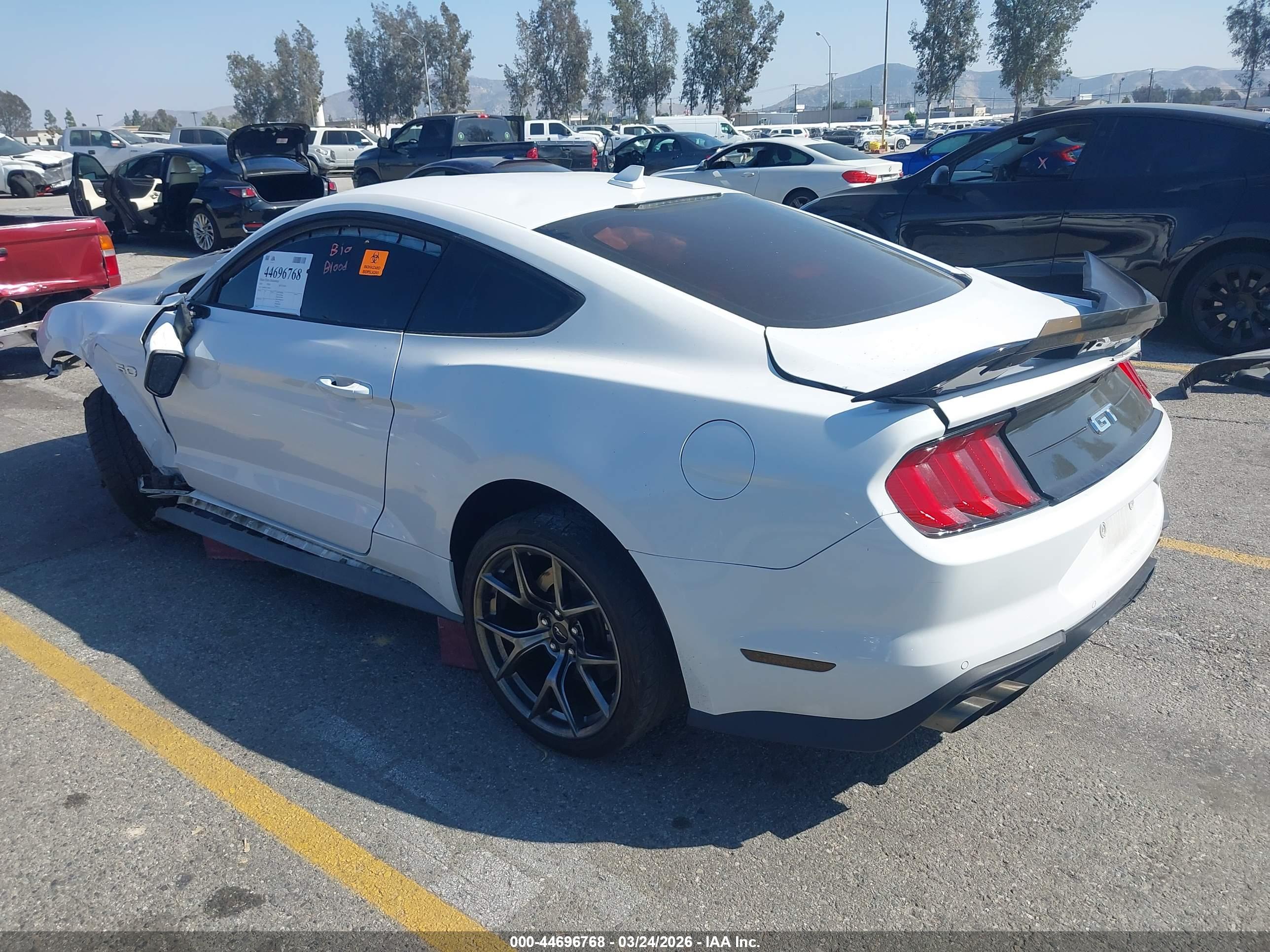 FORD MUSTANG image 3