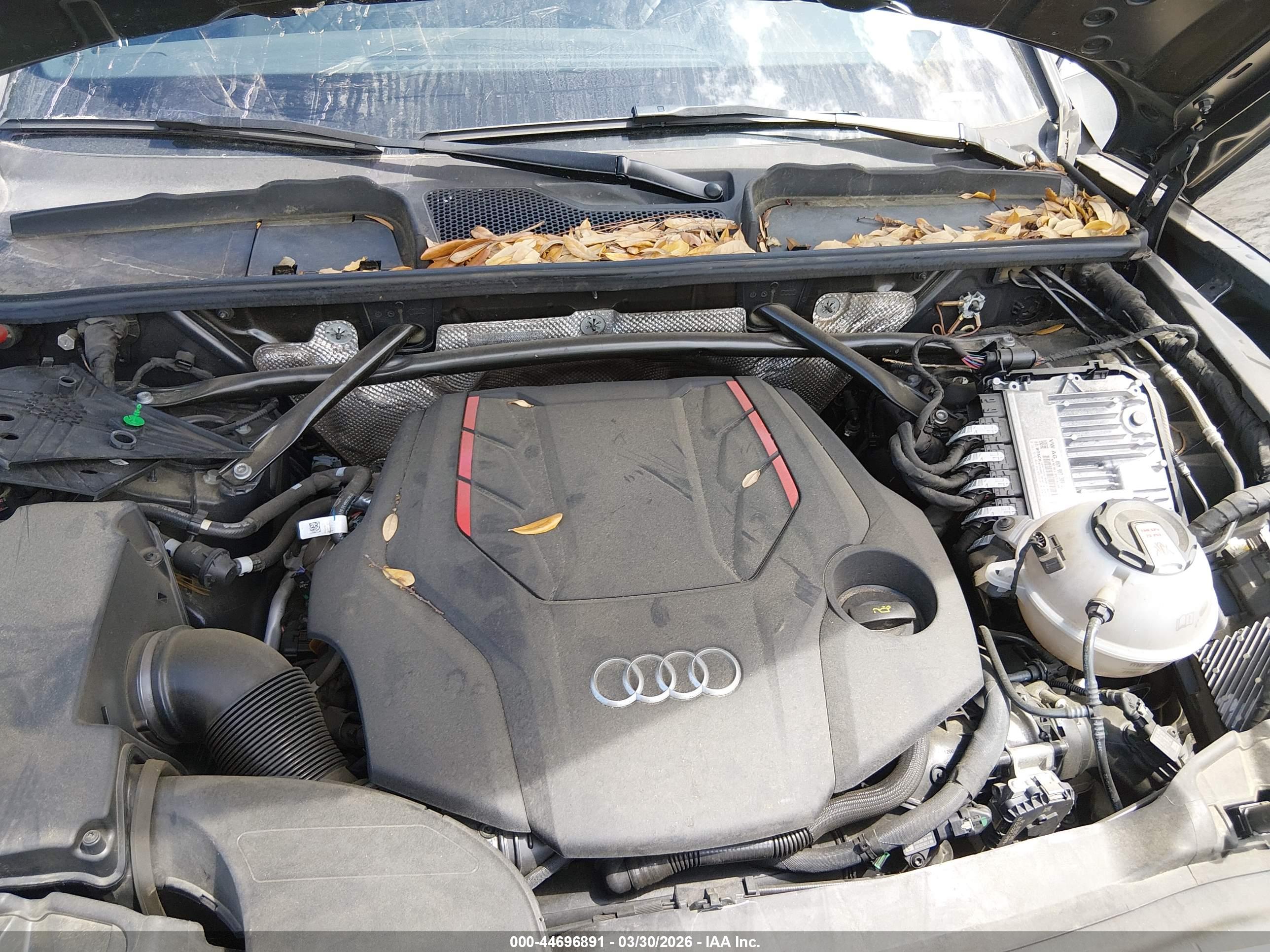 AUDI SQ5 image 10