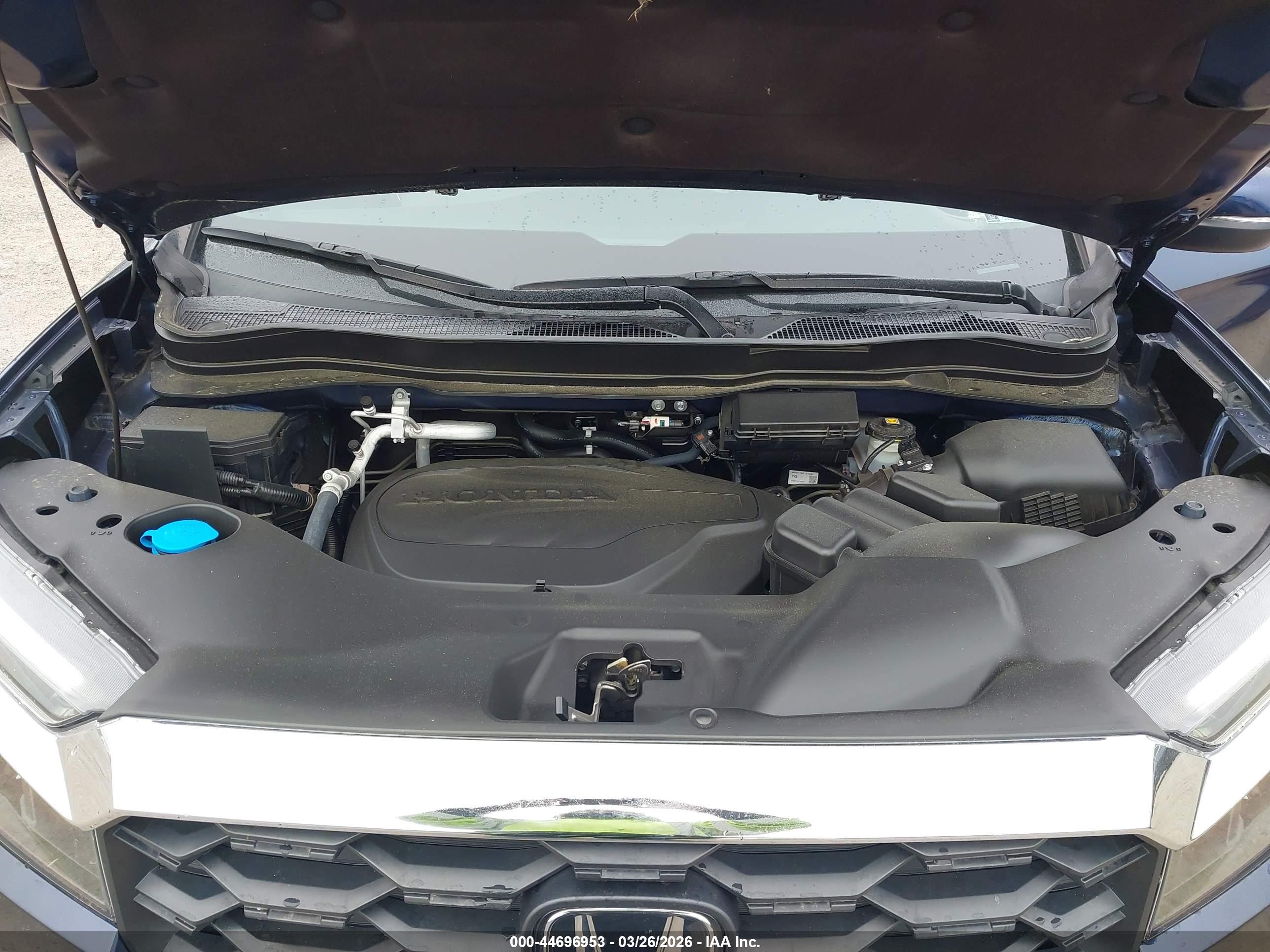 HONDA PASSPORT image 10