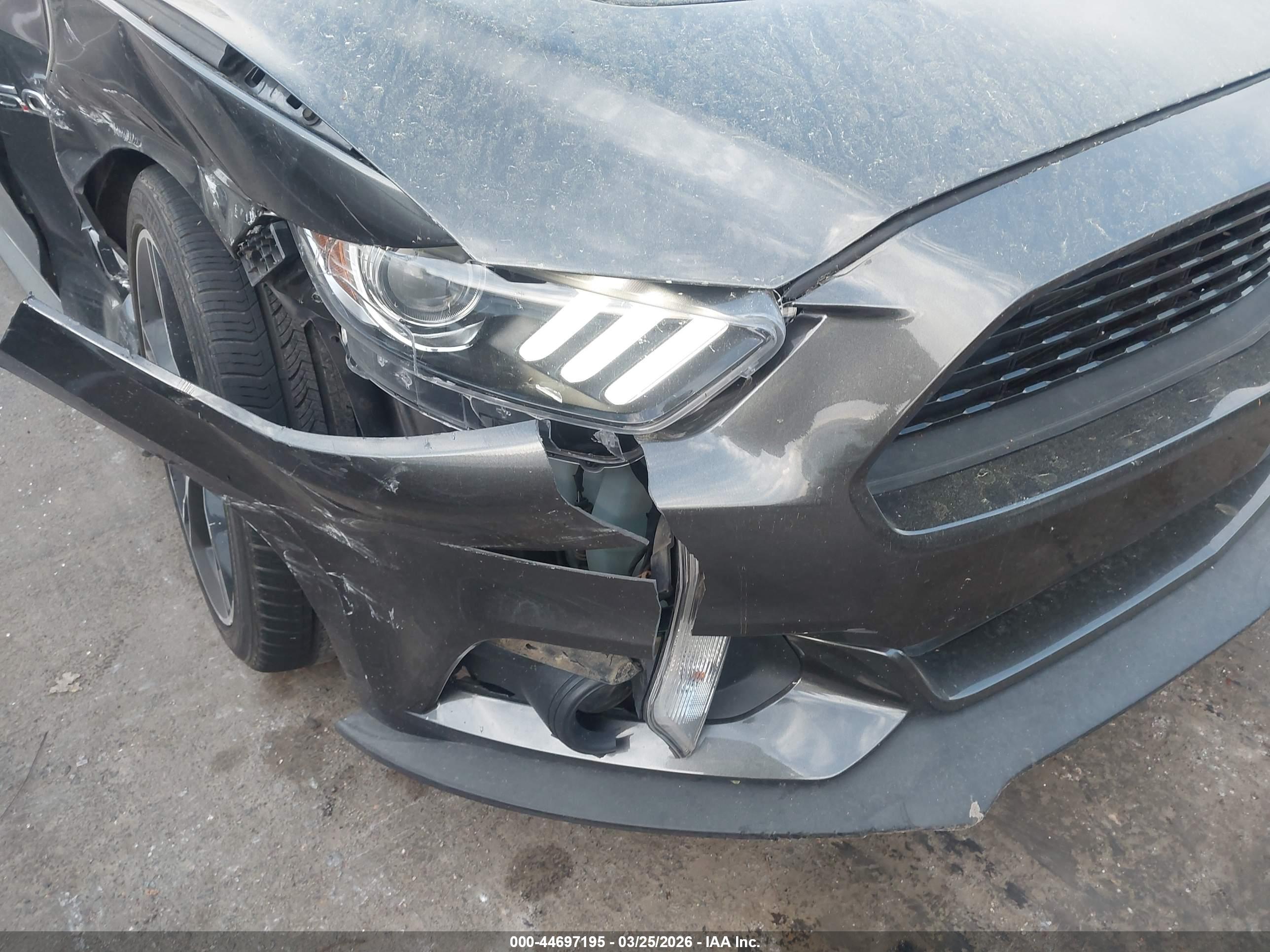 FORD MUSTANG image 6
