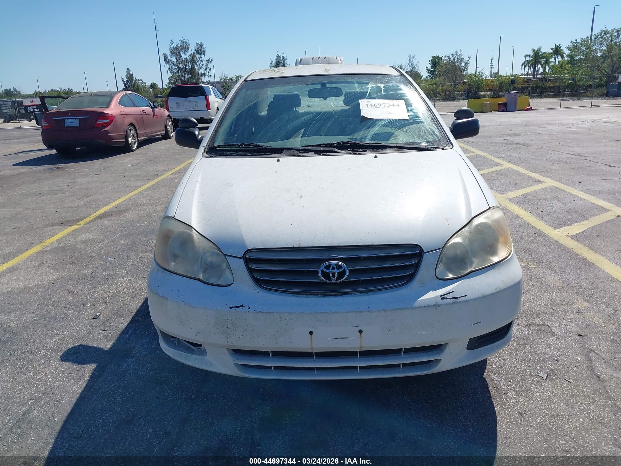 TOYOTA COROLLA image 6
