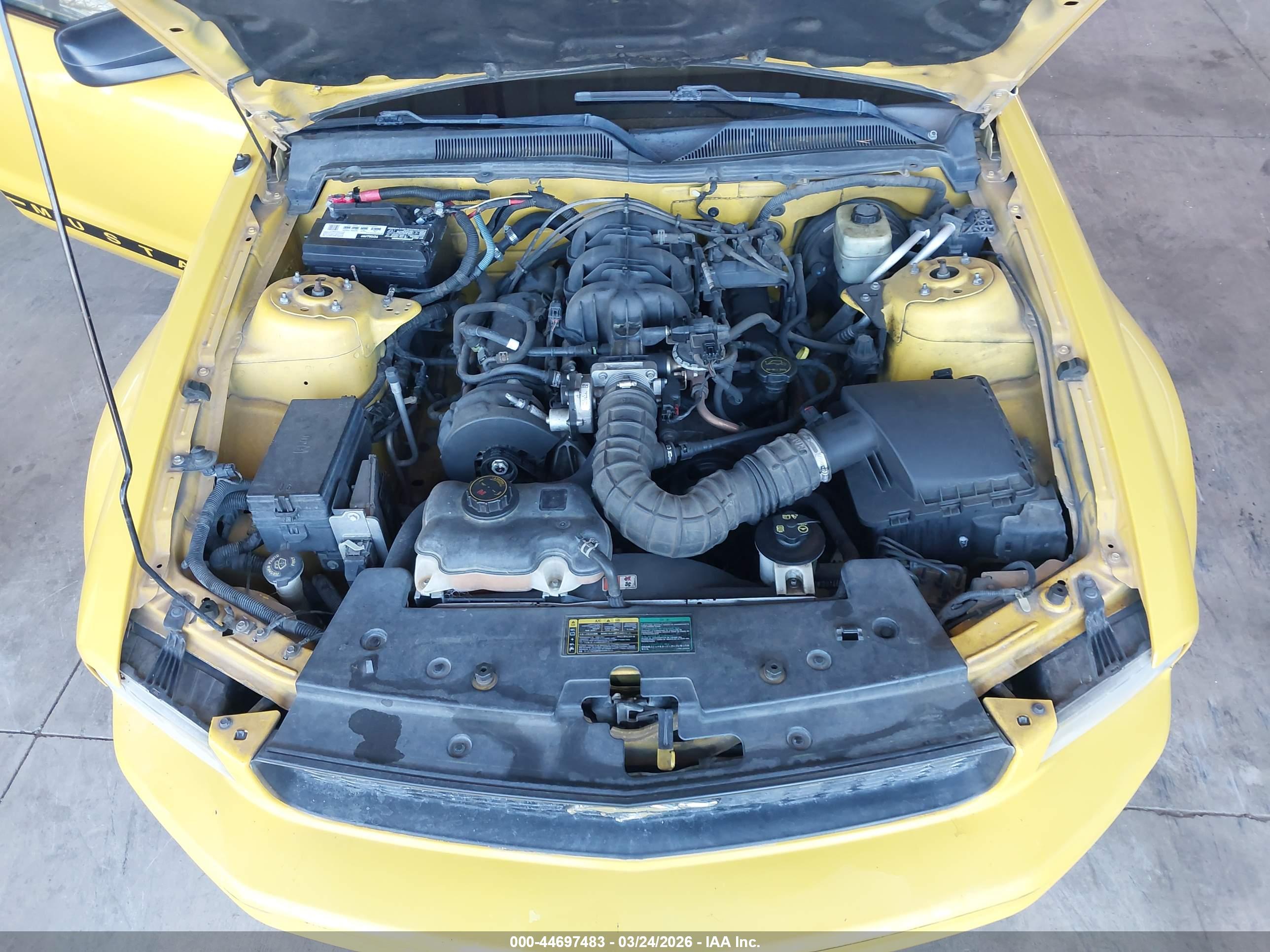 FORD MUSTANG image 10