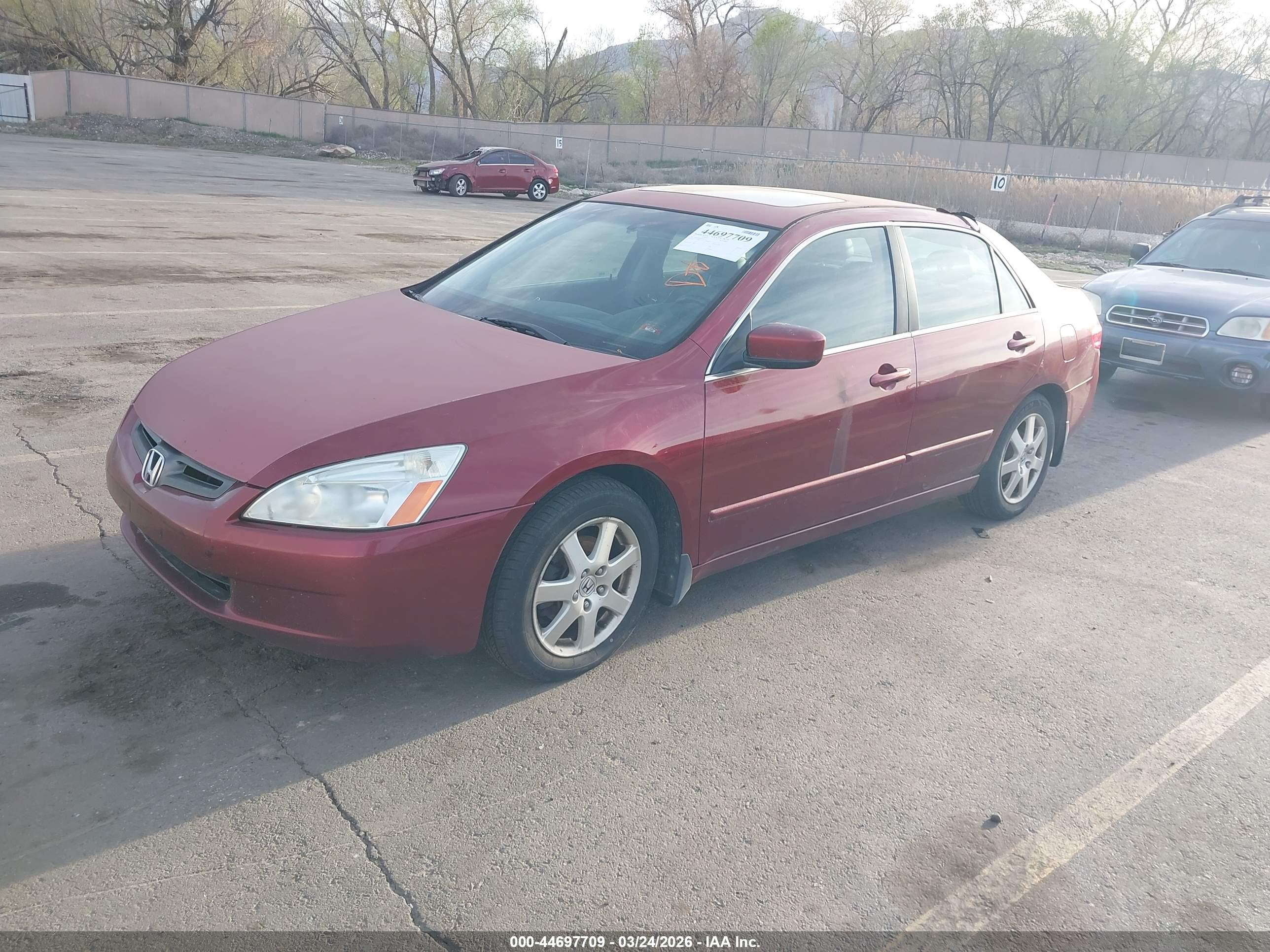 HONDA ACCORD image 2