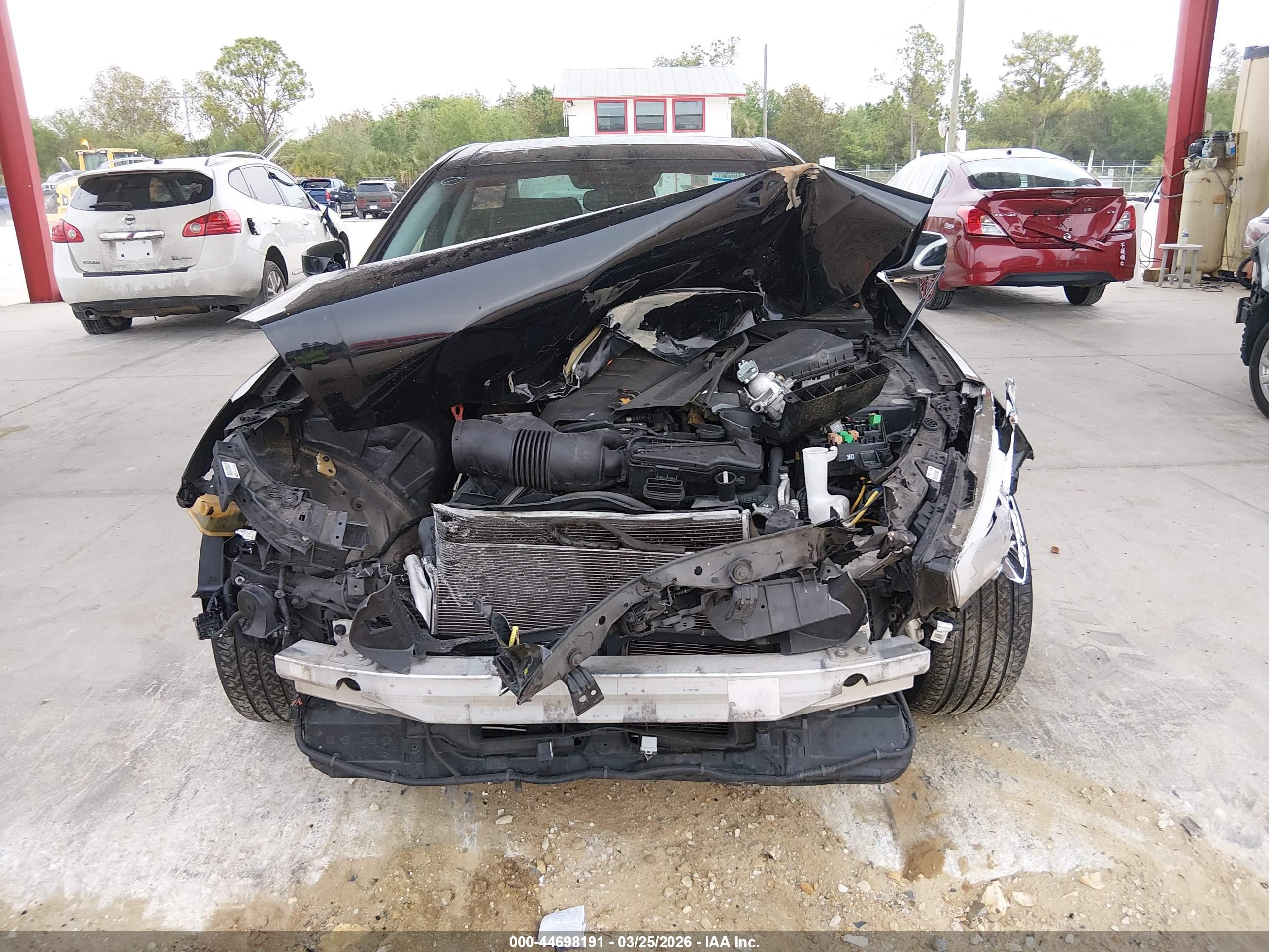 KIA K900 image 6