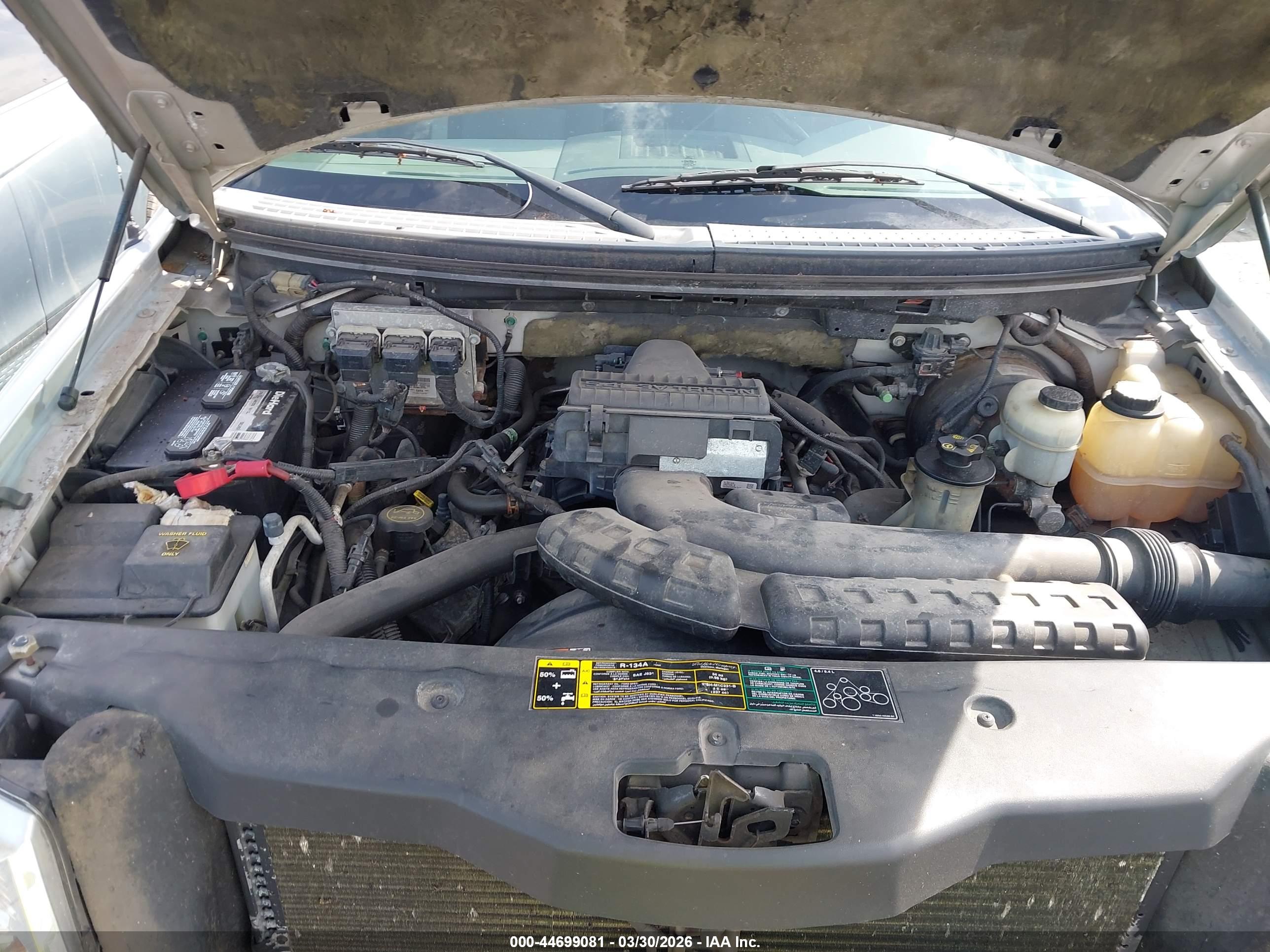 FORD F-150 image 10