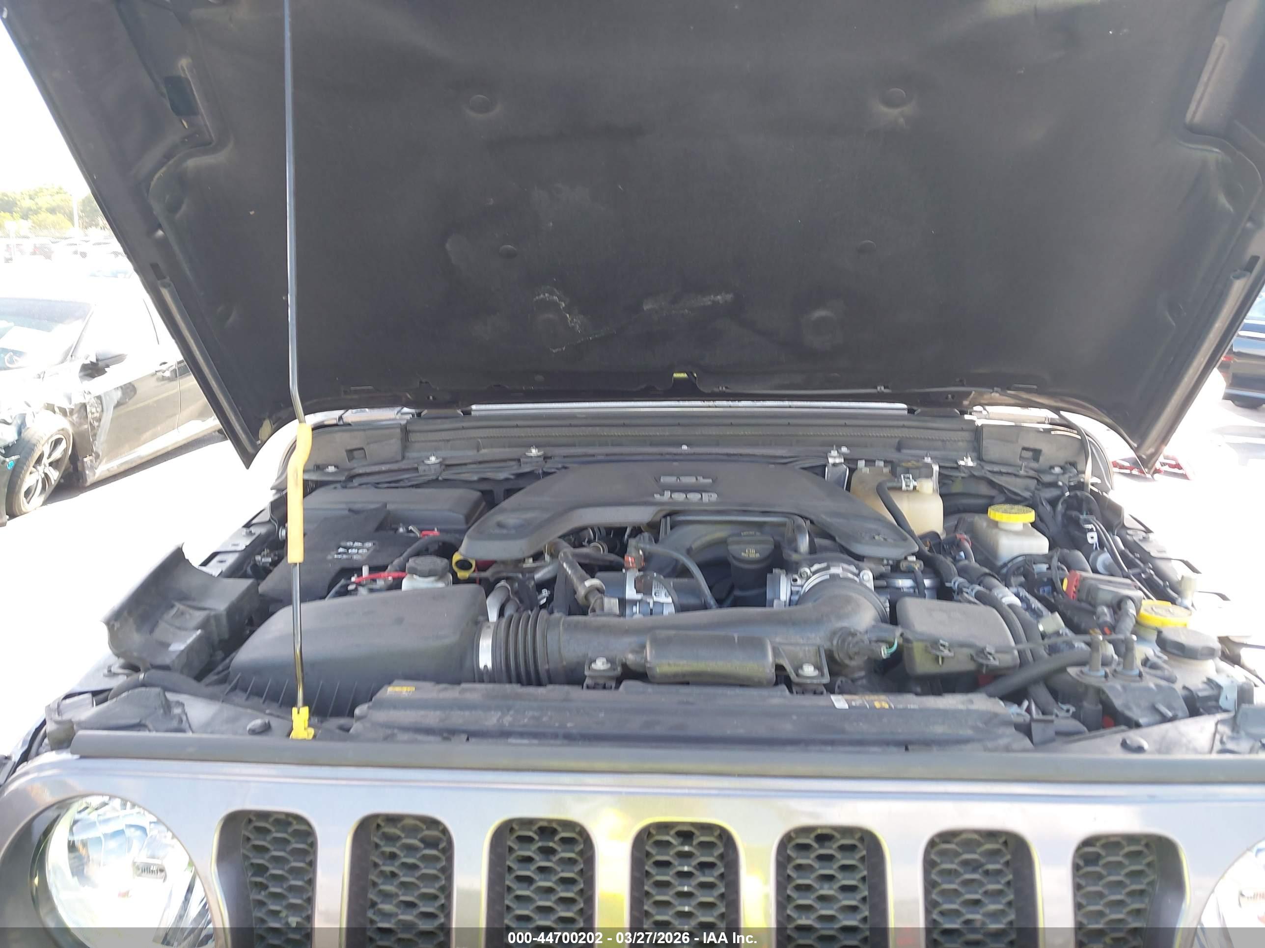 JEEP WRANGLER image 10