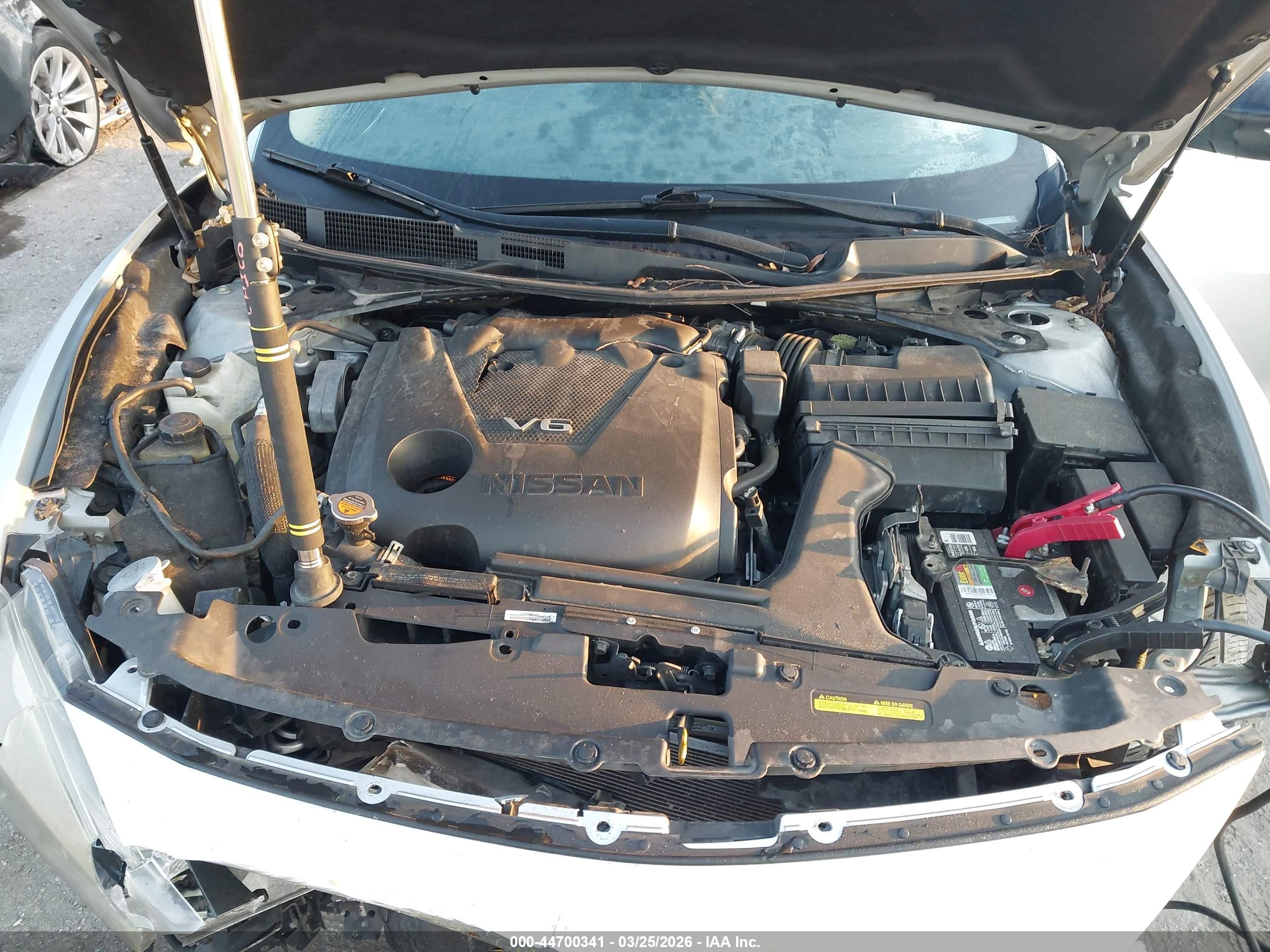 NISSAN MAXIMA image 10
