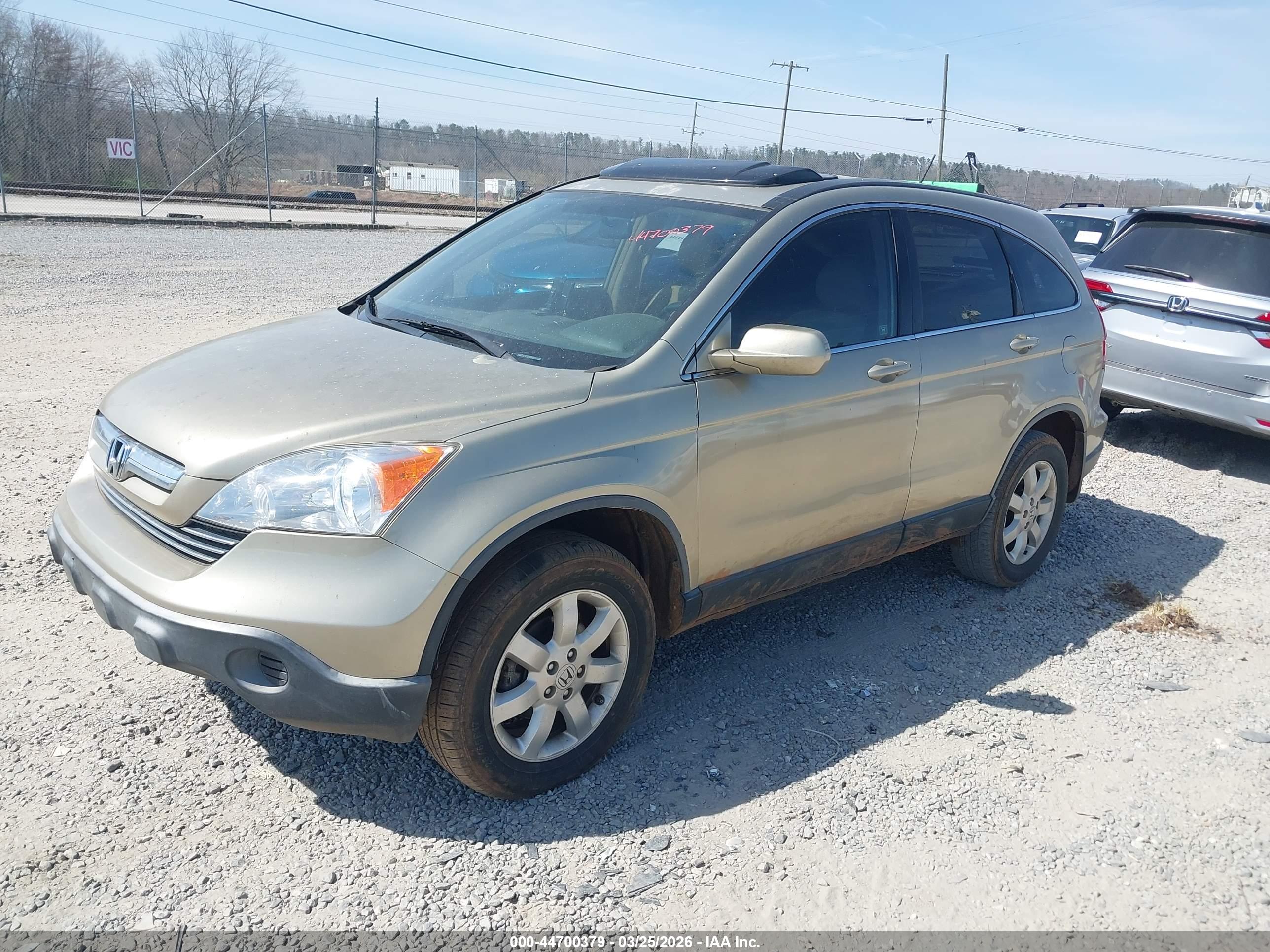 HONDA CR-V image 2