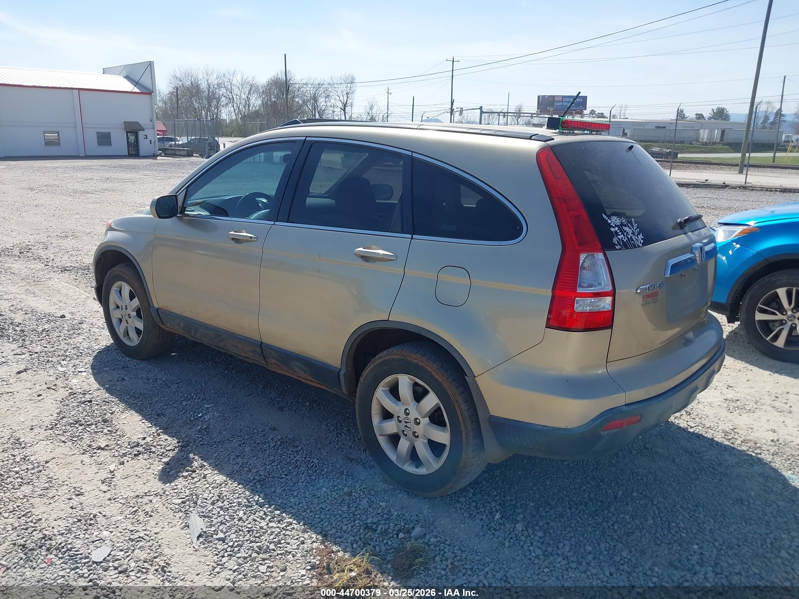 HONDA CR-V image 3