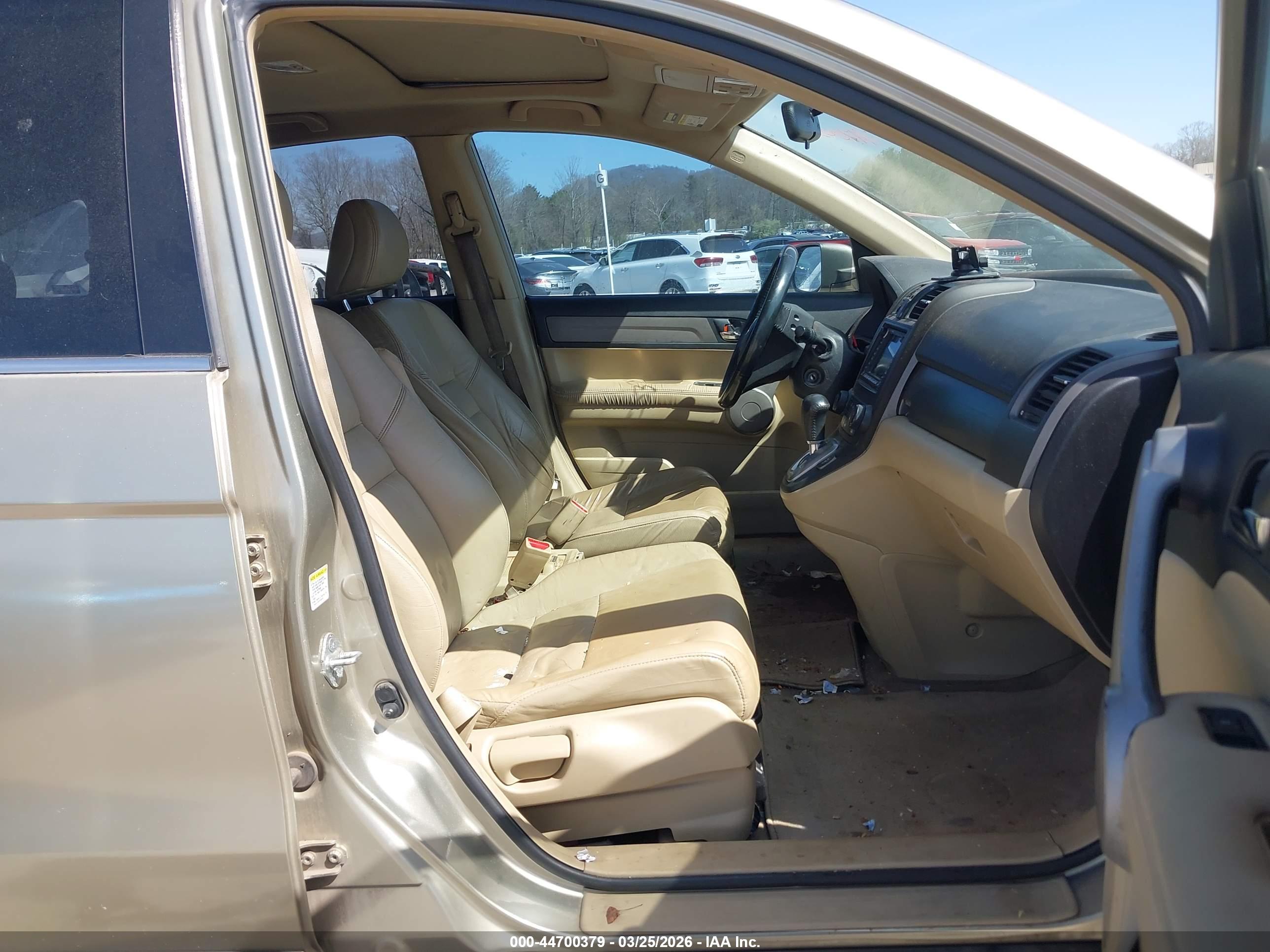 HONDA CR-V image 5