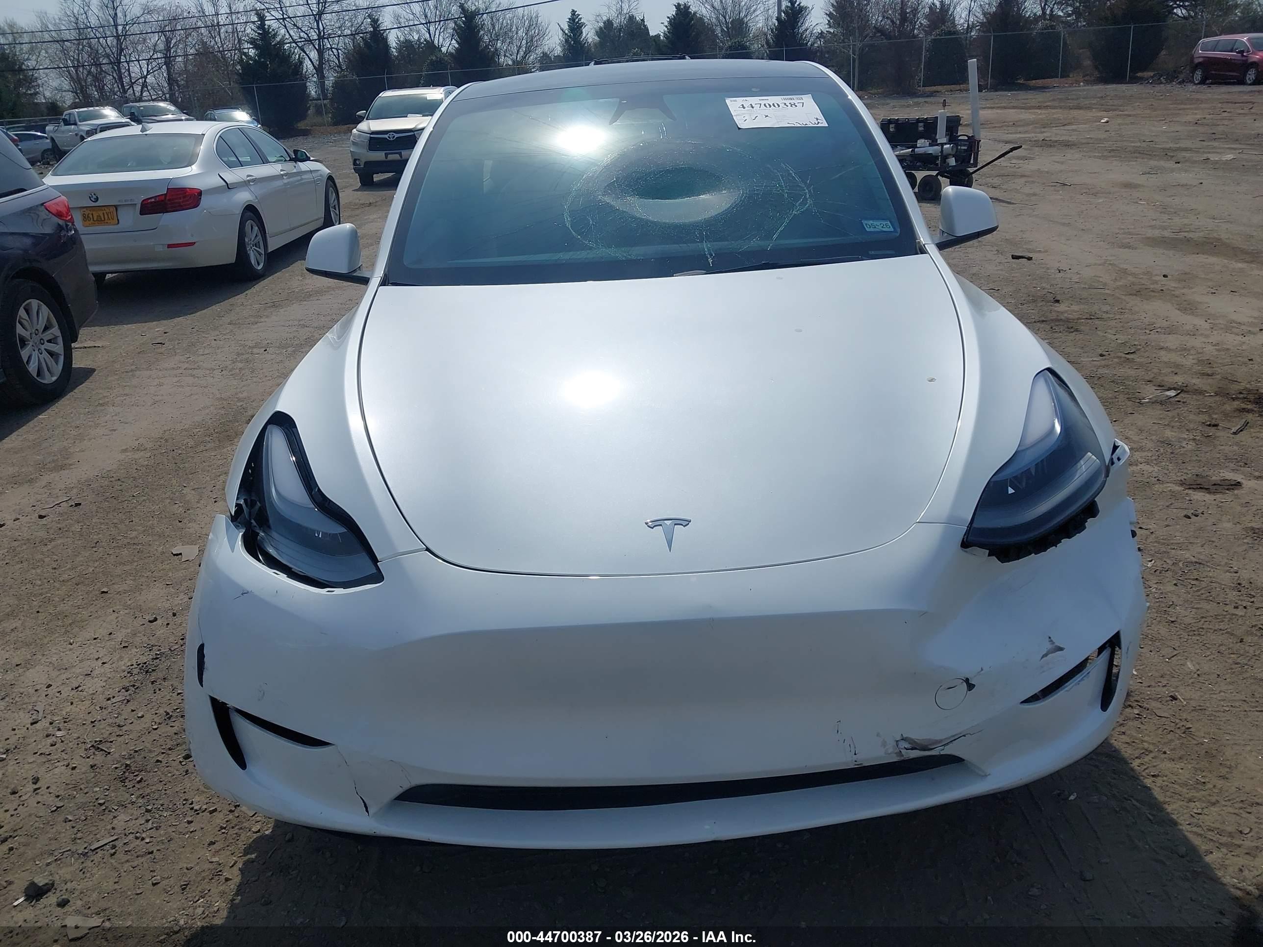 TESLA MODEL image 6