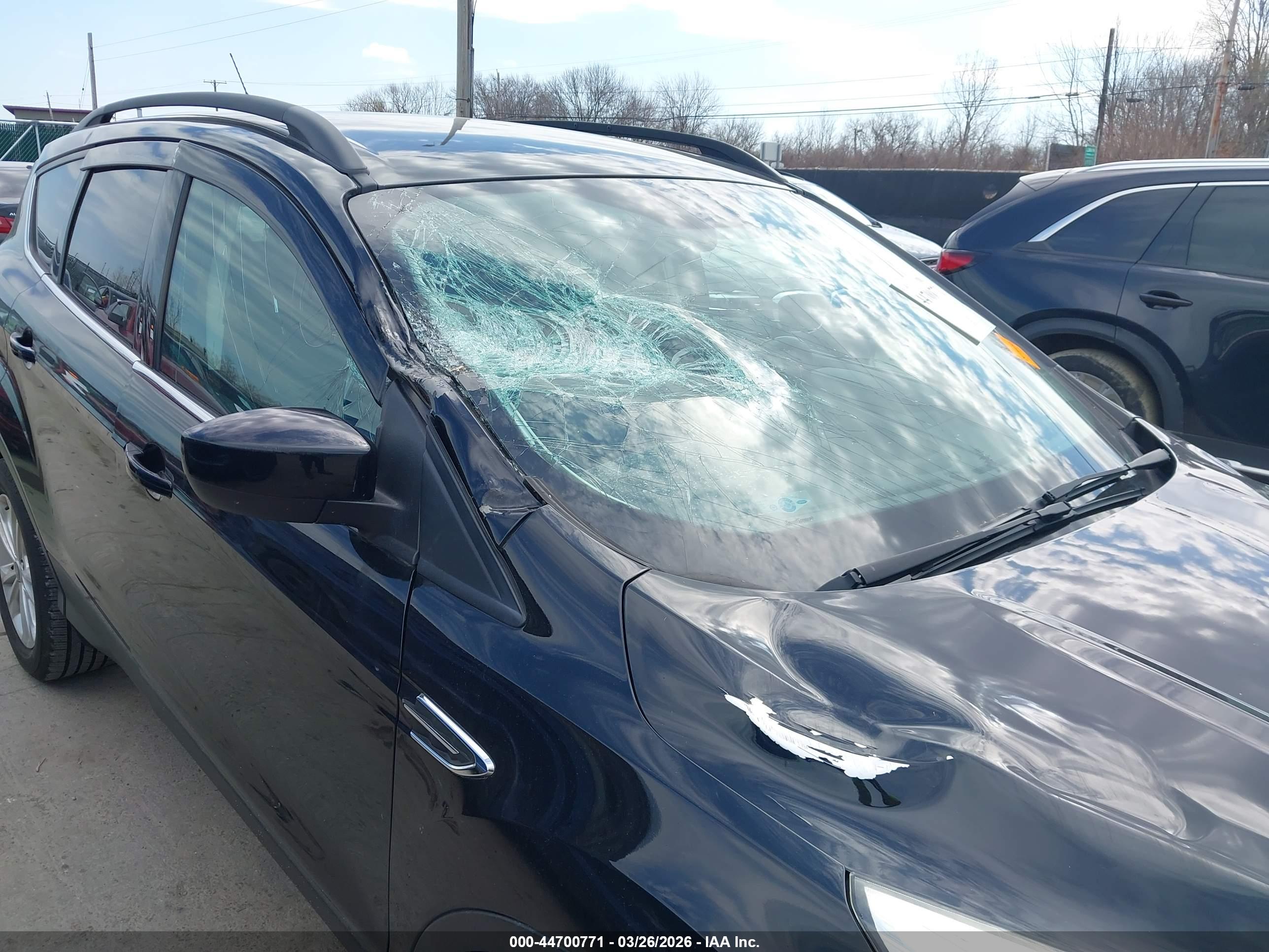 FORD ESCAPE image 6