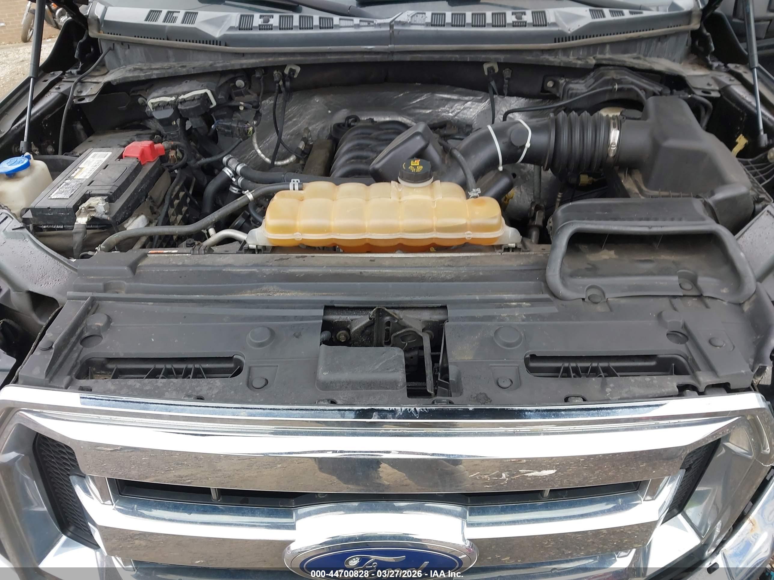 FORD F-150 image 10