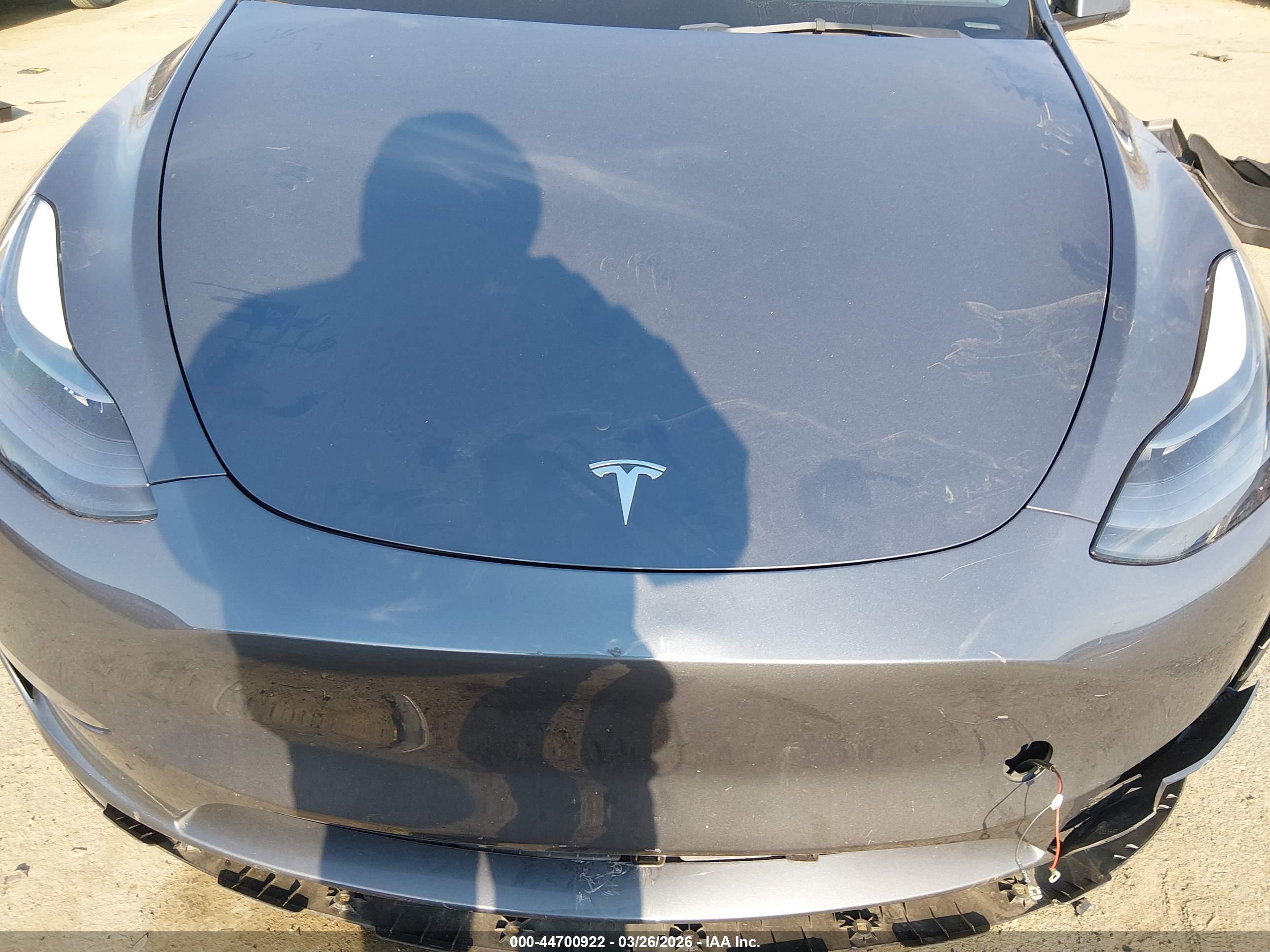 TESLA MODEL image 10