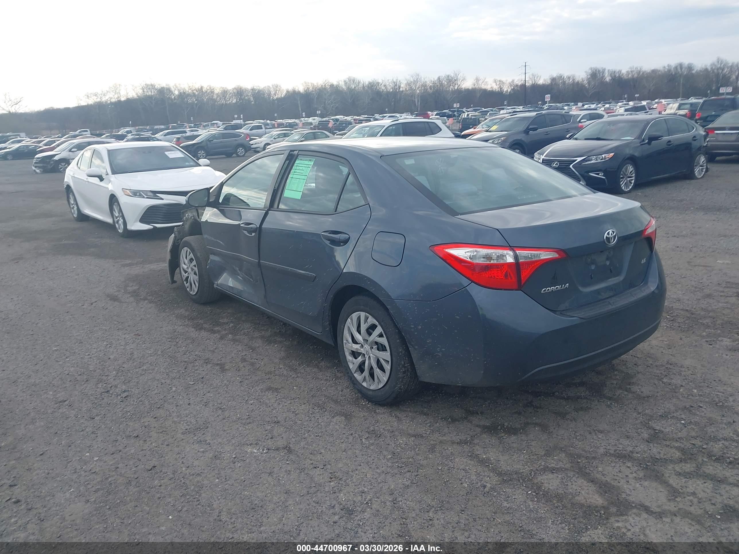 TOYOTA COROLLA image 3