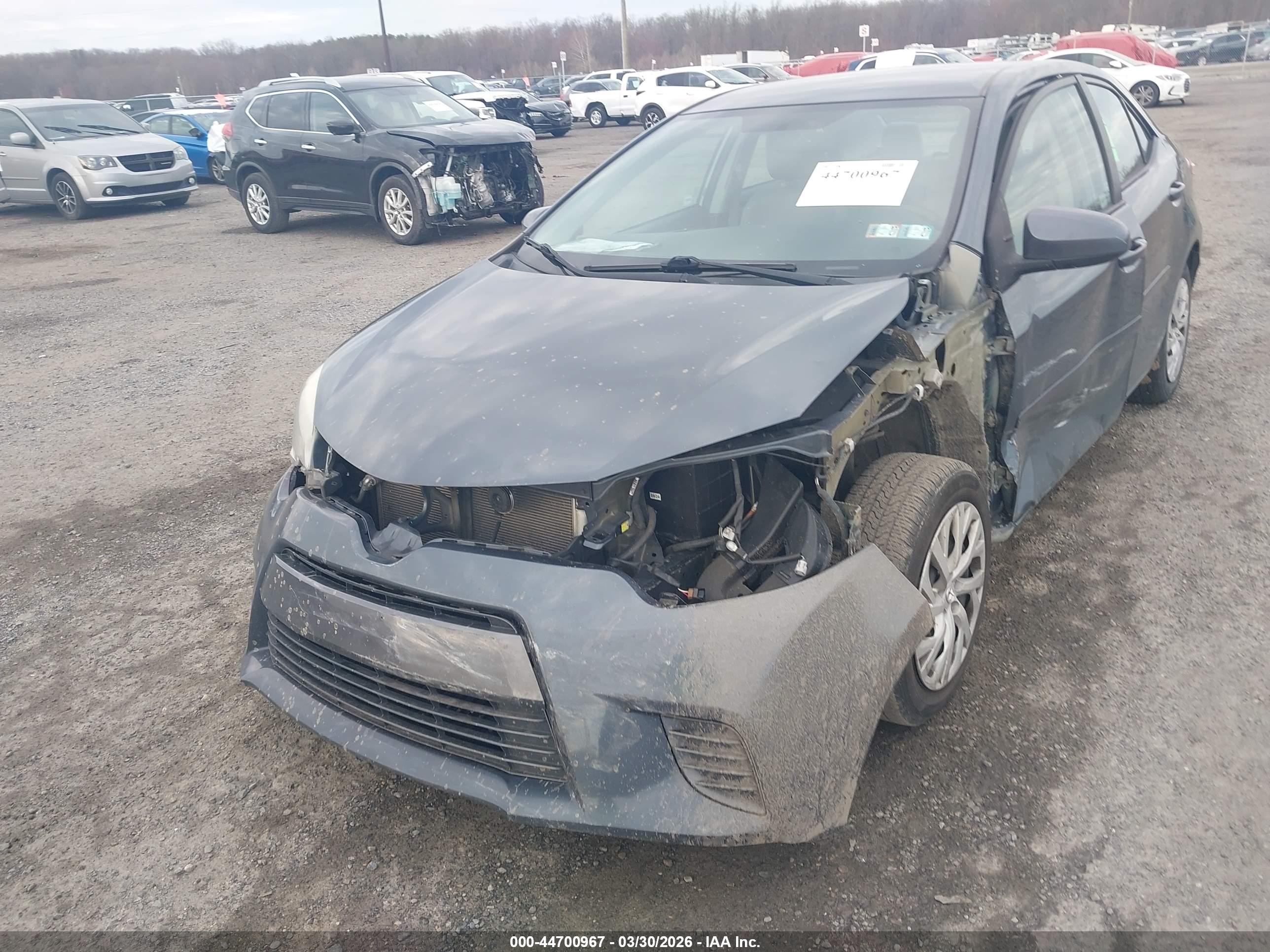 TOYOTA COROLLA image 6