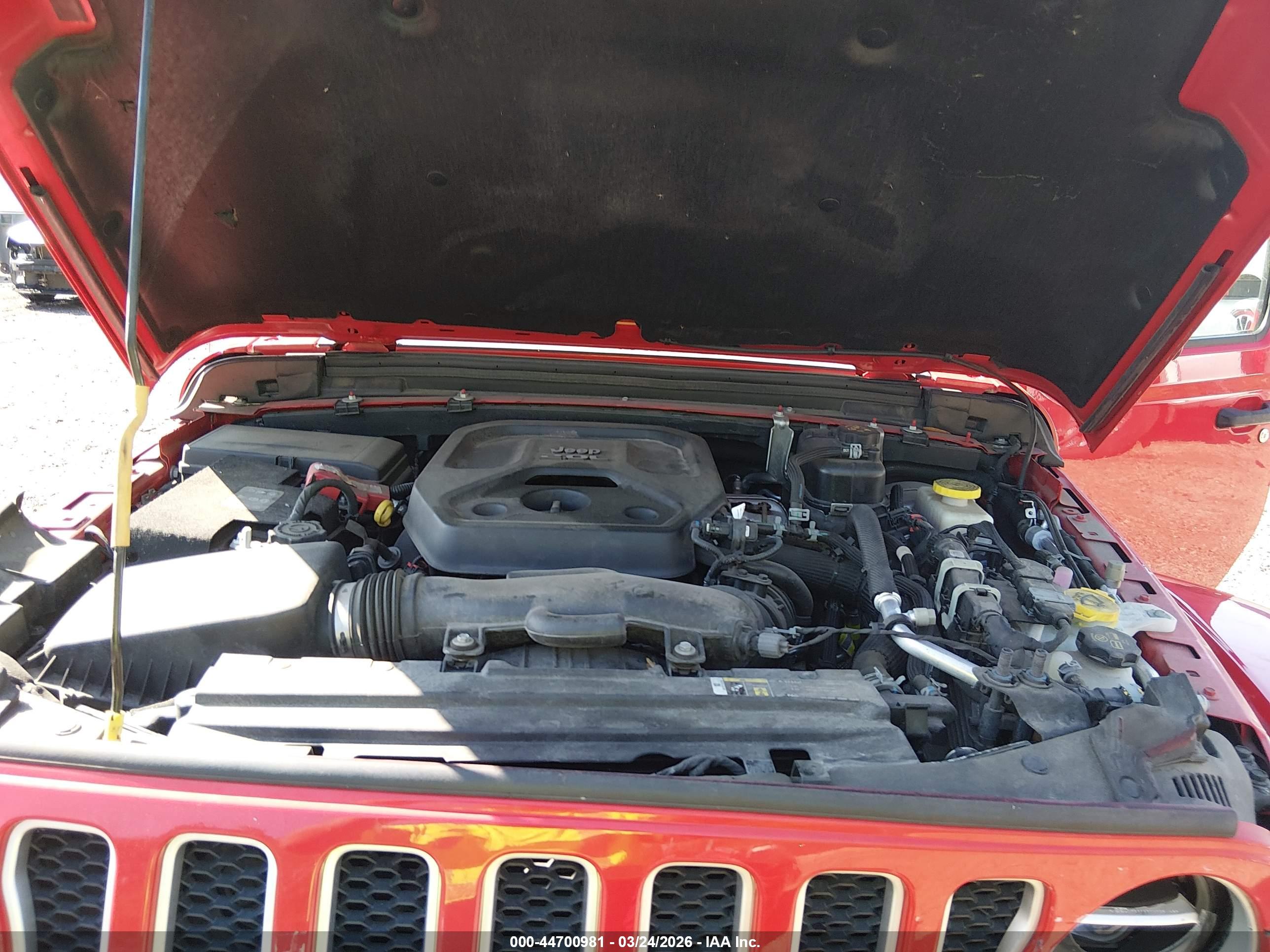 JEEP WRANGLER image 10