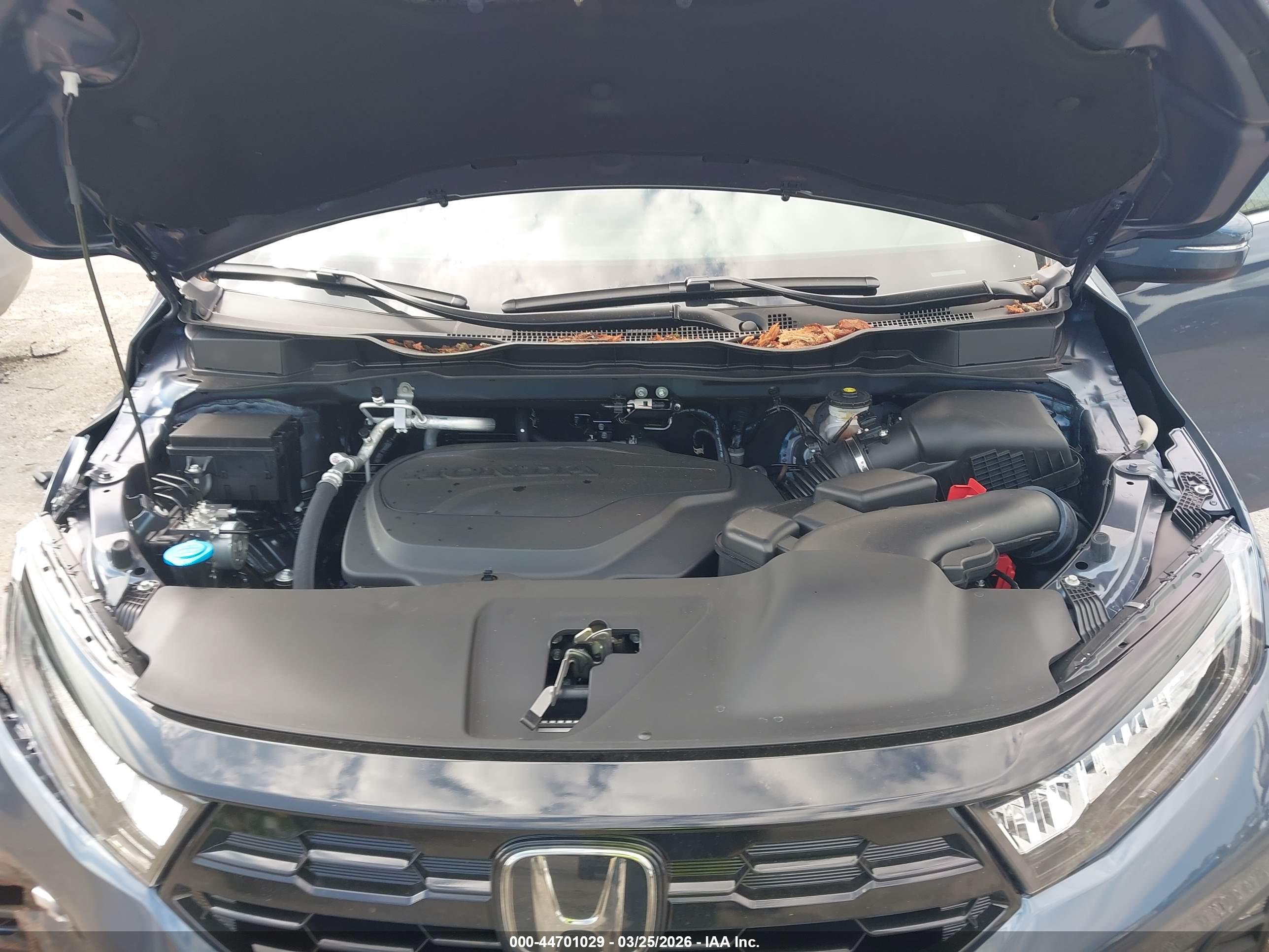 HONDA ODYSSEY image 10
