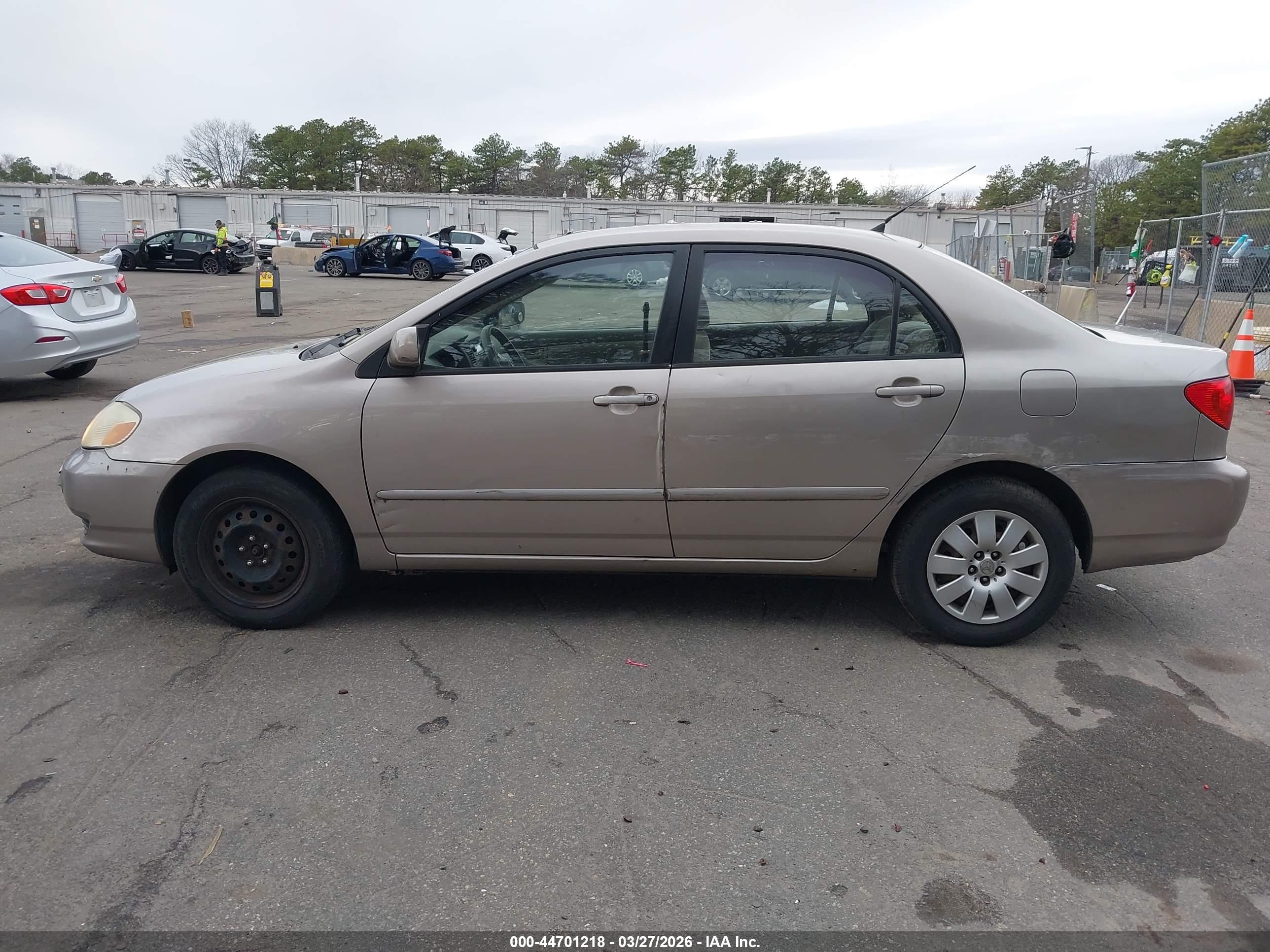 TOYOTA COROLLA image 6