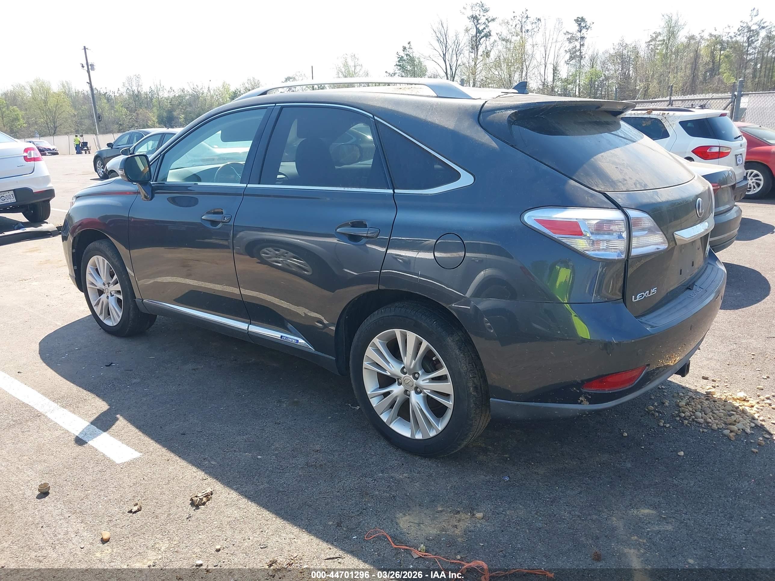 LEXUS RX image 3